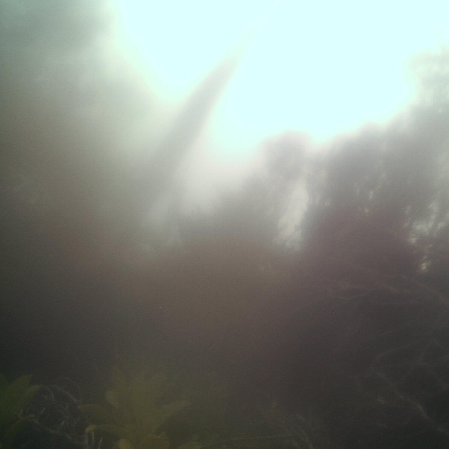 A photo captured from the webcam at the time the audio was recorded
