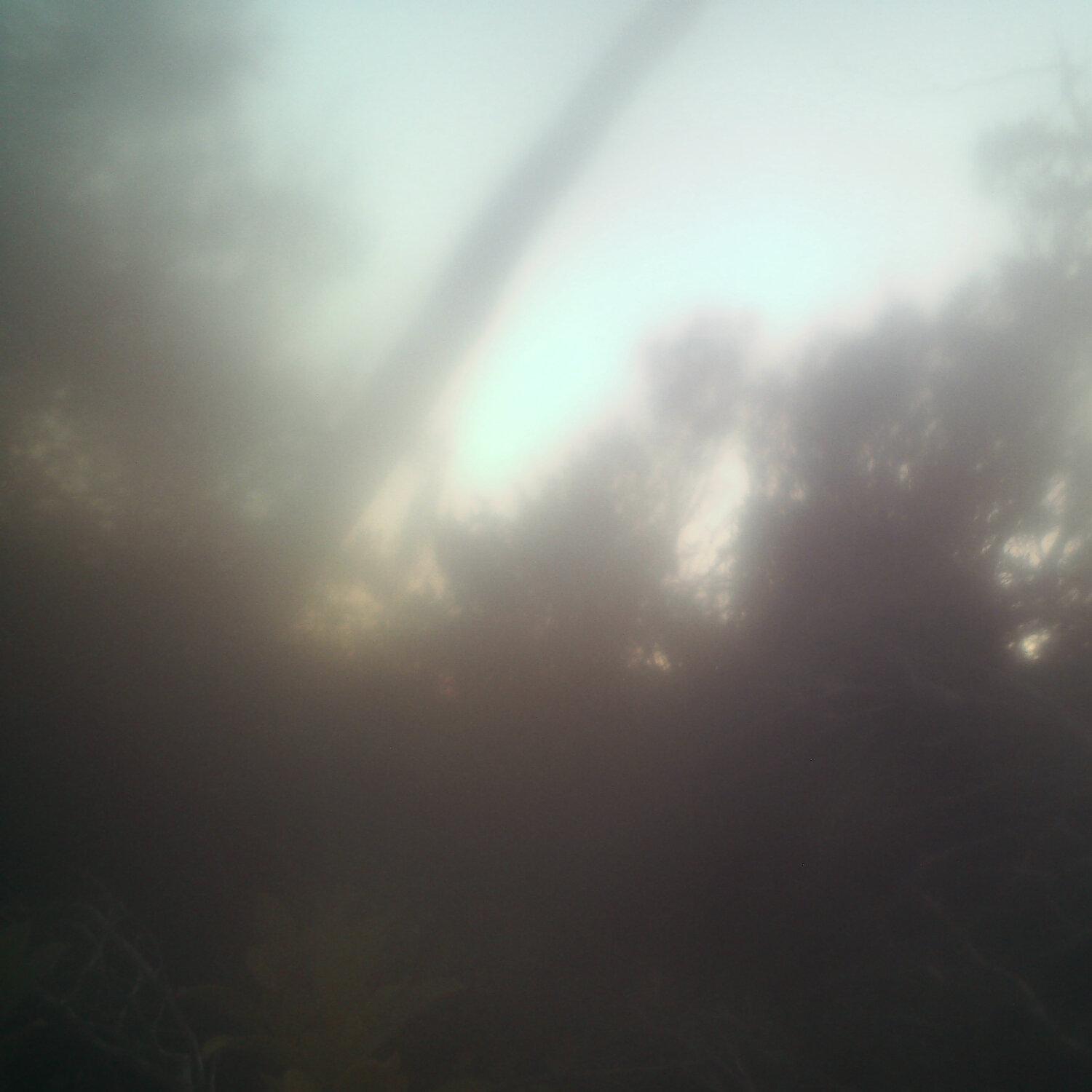 A photo captured from the webcam at the time the audio was recorded