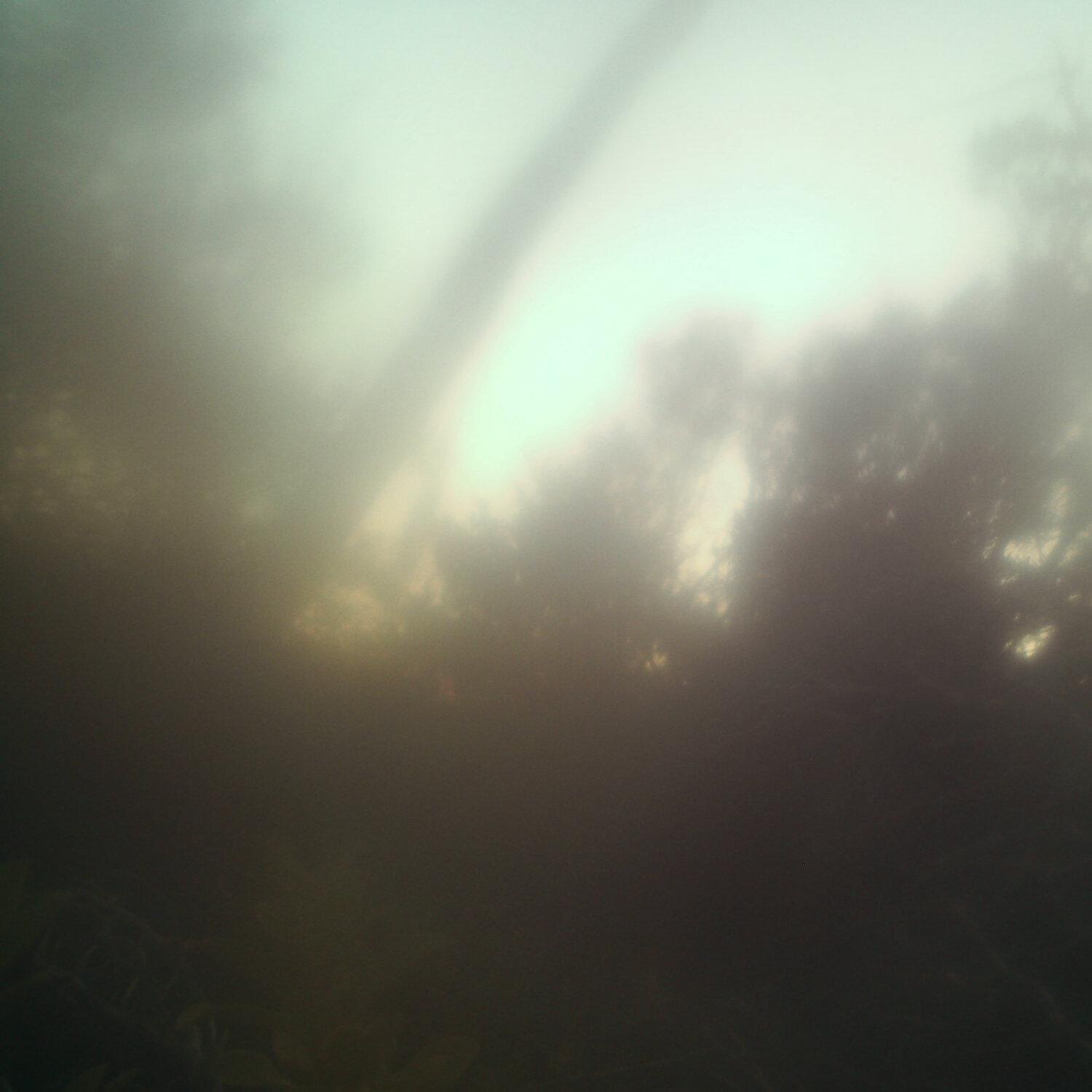 A photo captured from the webcam at the time the audio was recorded