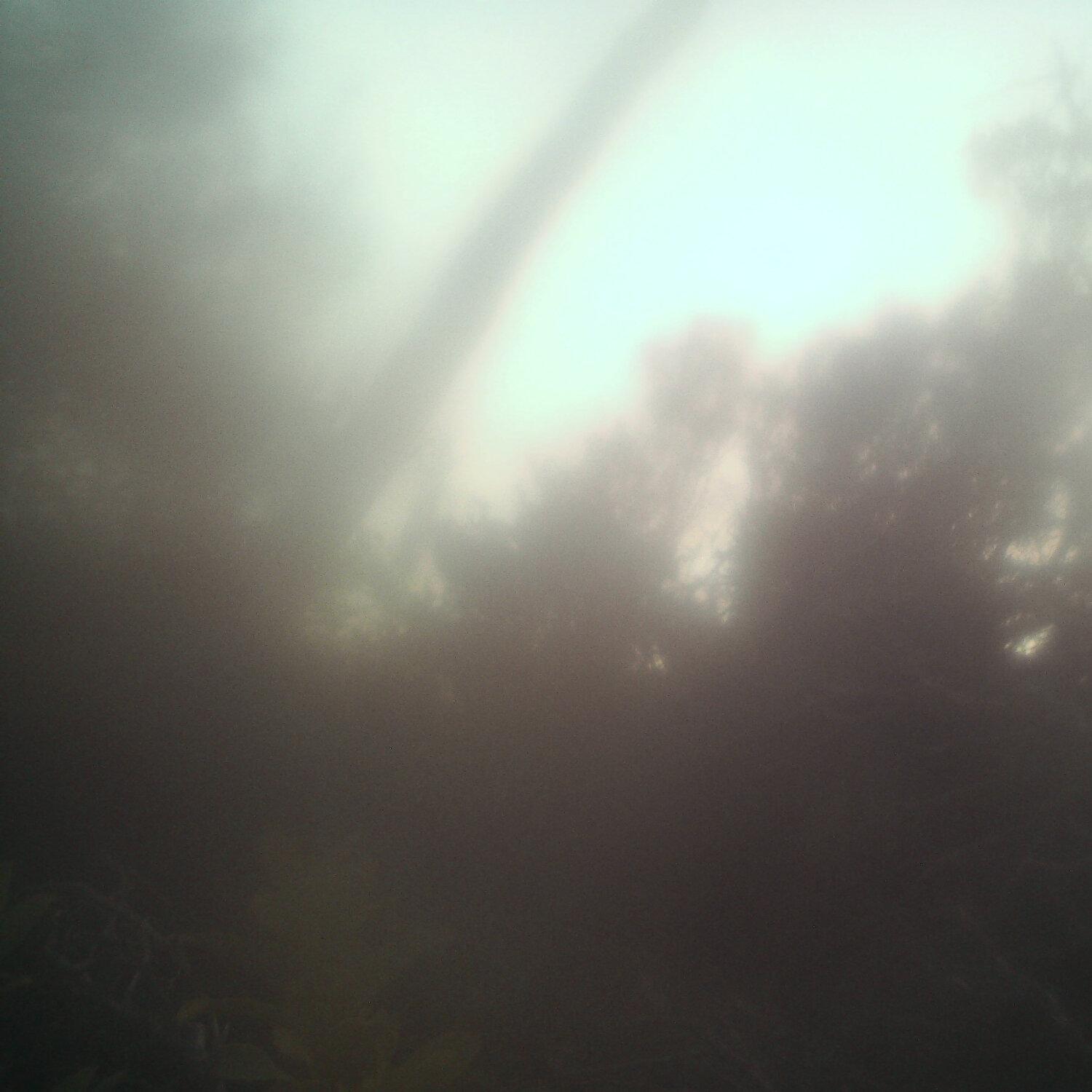 A photo captured from the webcam at the time the audio was recorded