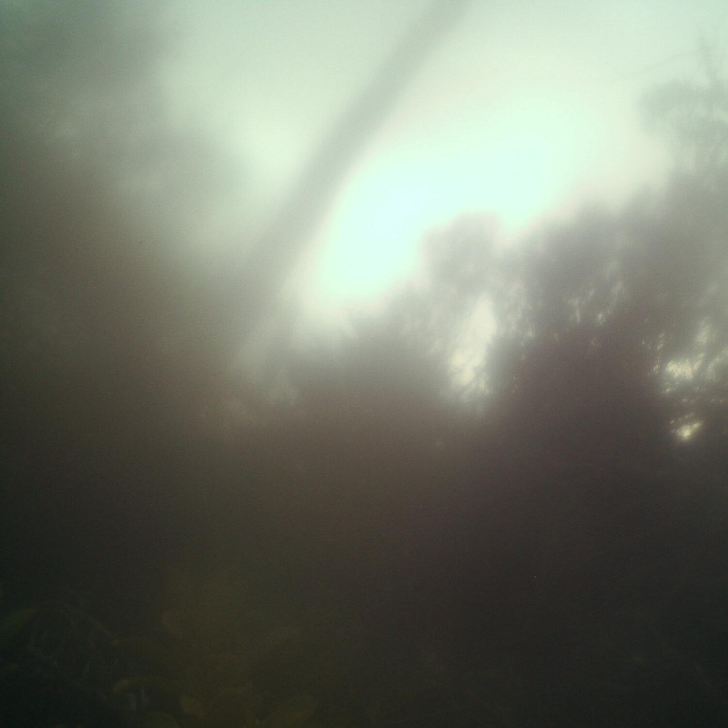 A photo captured from the webcam at the time the audio was recorded
