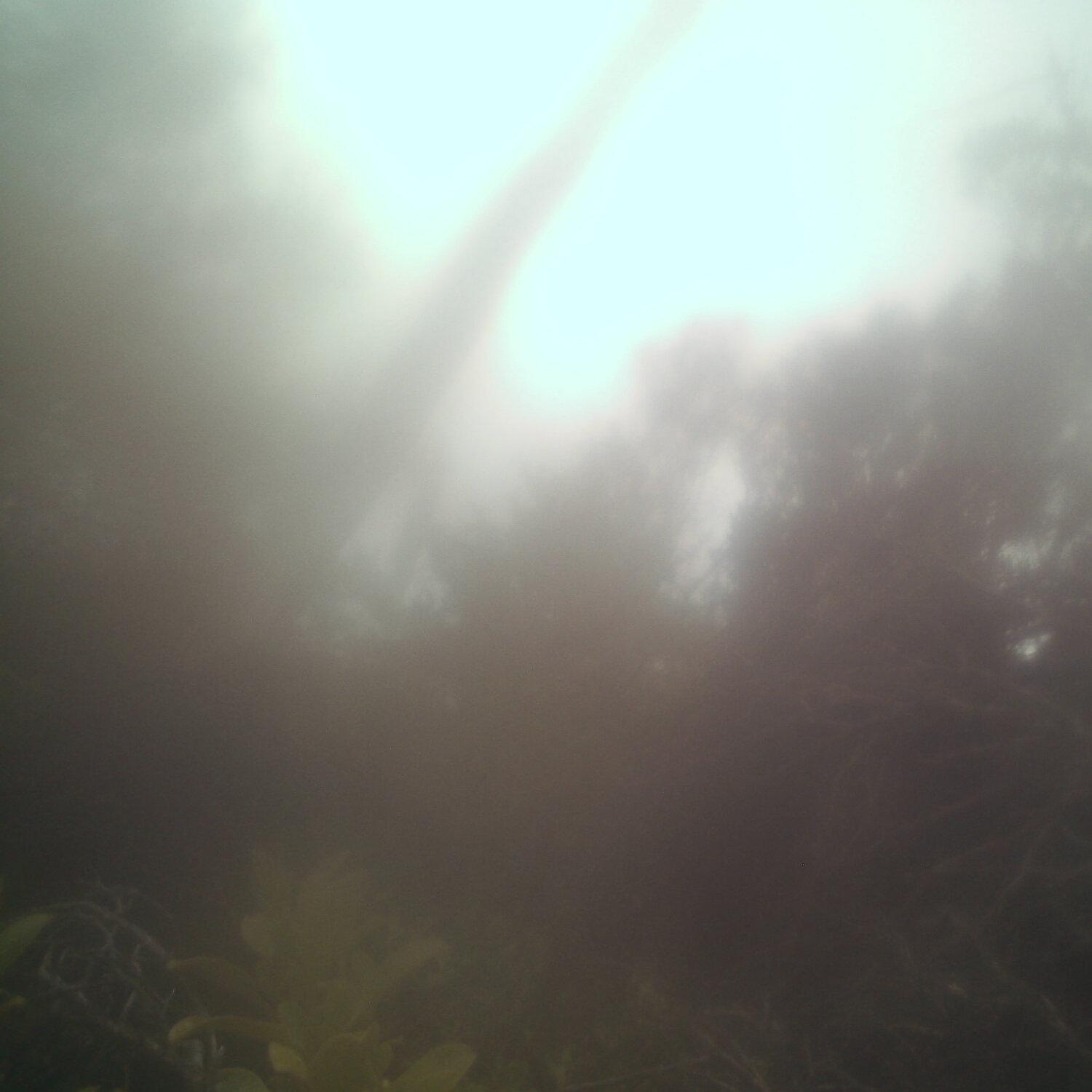 A photo captured from the webcam at the time the audio was recorded