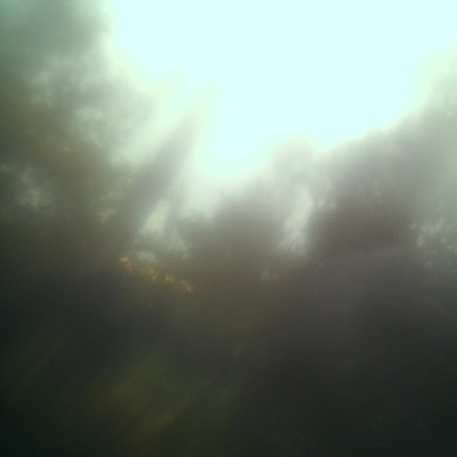 A photo captured from the webcam at the time the audio was recorded