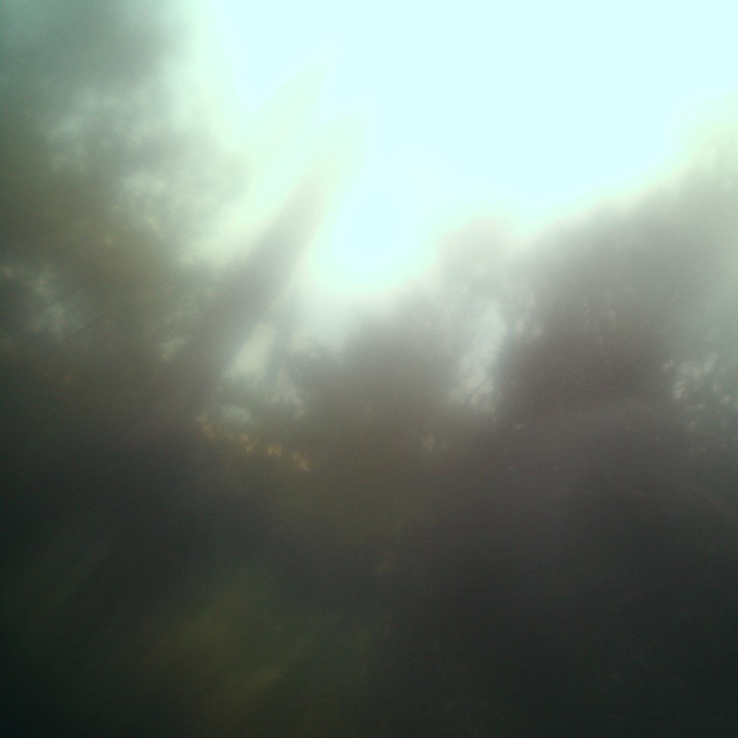 A photo captured from the webcam at the time the audio was recorded