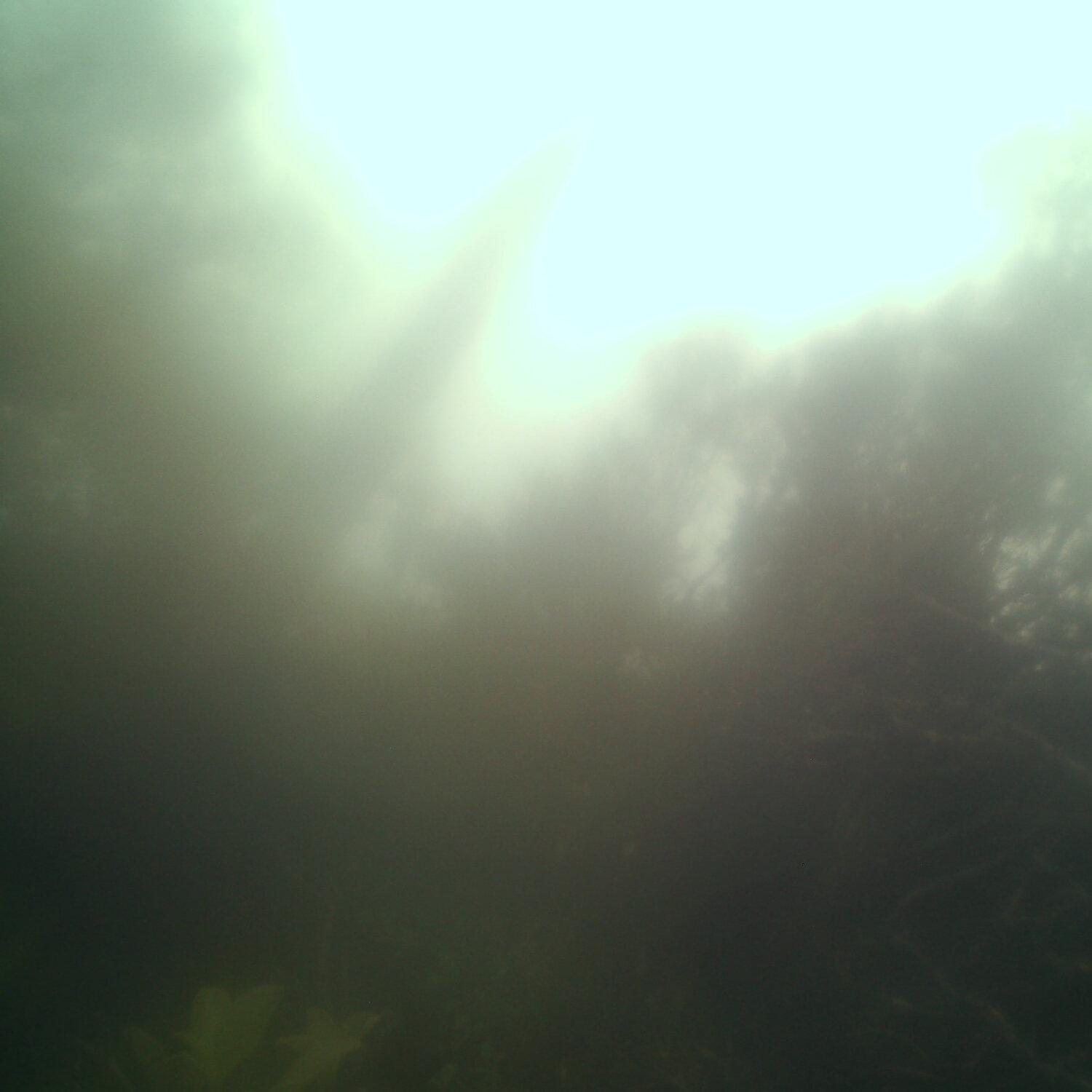 A photo captured from the webcam at the time the audio was recorded