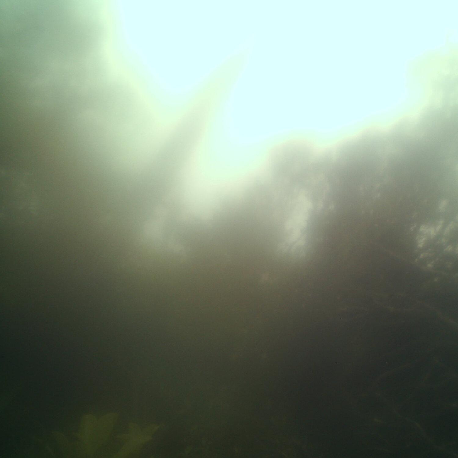 A photo captured from the webcam at the time the audio was recorded
