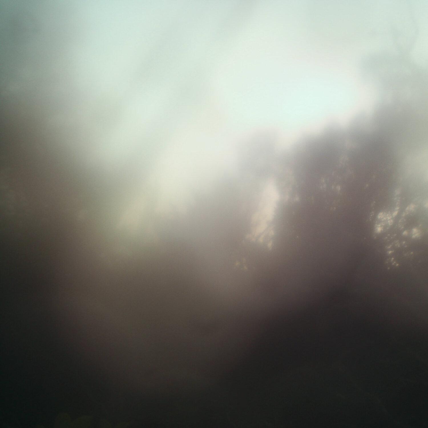 A photo captured from the webcam at the time the audio was recorded