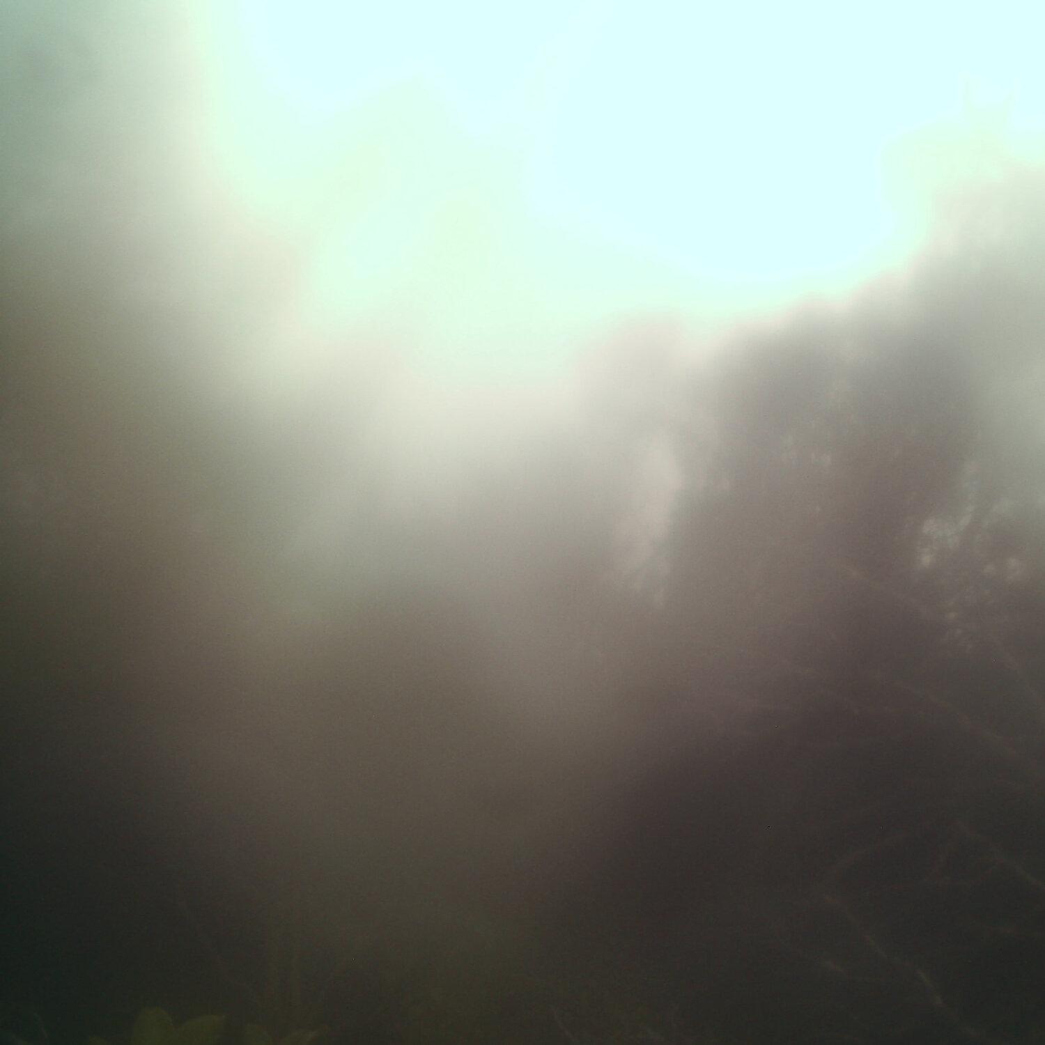 A photo captured from the webcam at the time the audio was recorded
