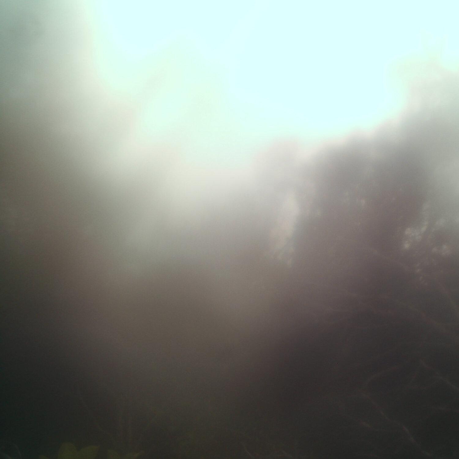 A photo captured from the webcam at the time the audio was recorded