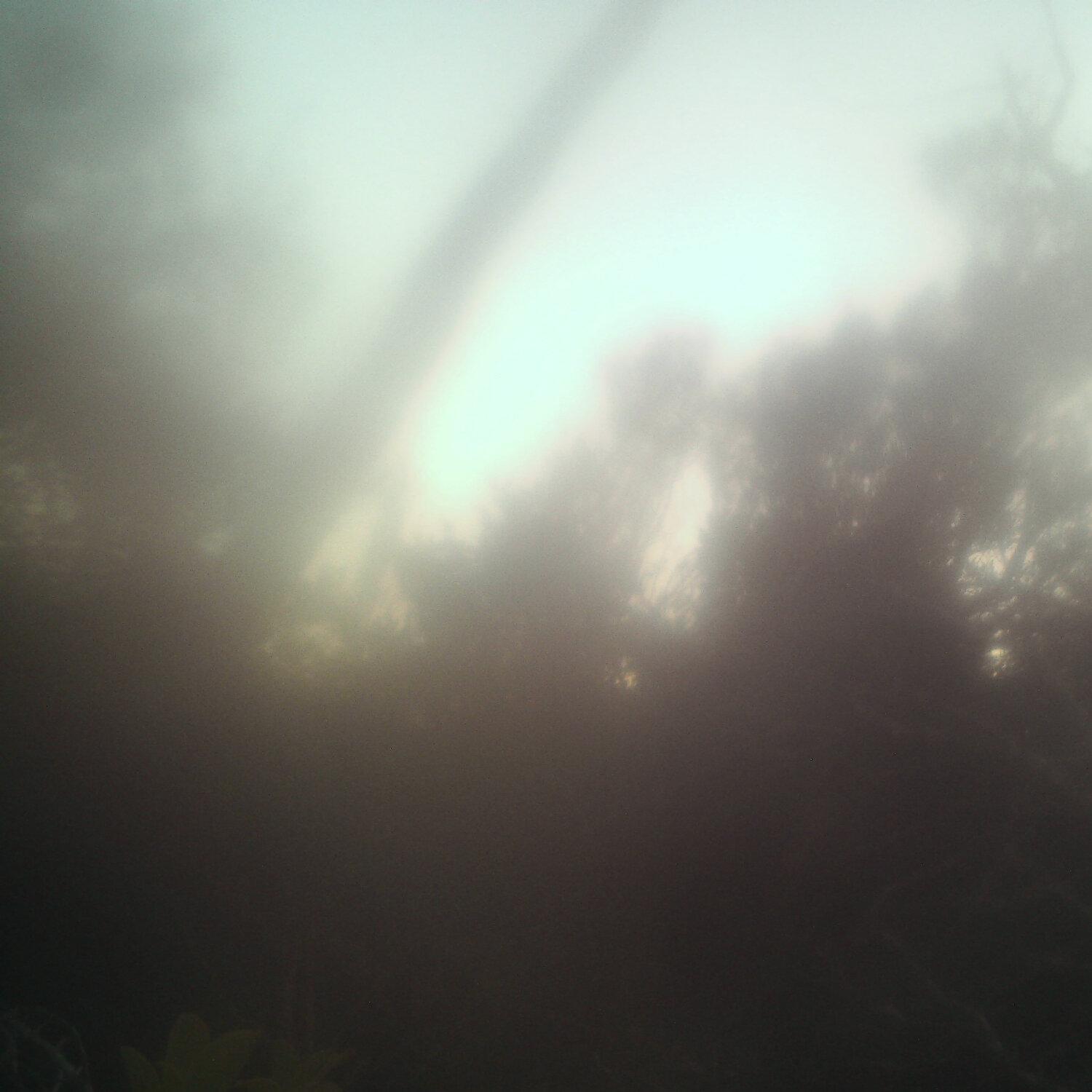 A photo captured from the webcam at the time the audio was recorded