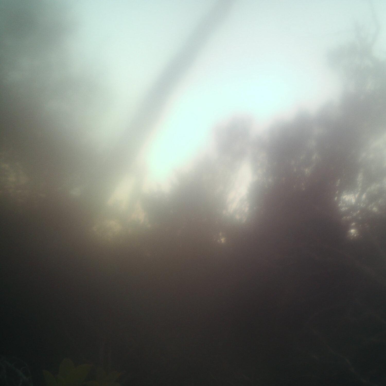 A photo captured from the webcam at the time the audio was recorded