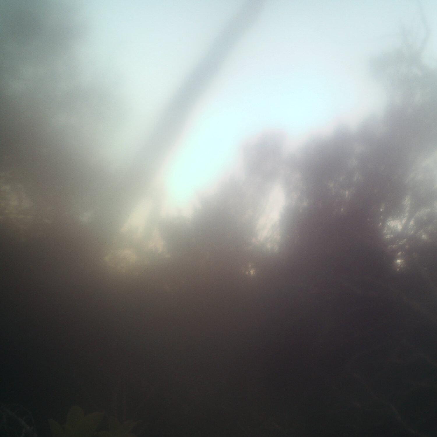 A photo captured from the webcam at the time the audio was recorded