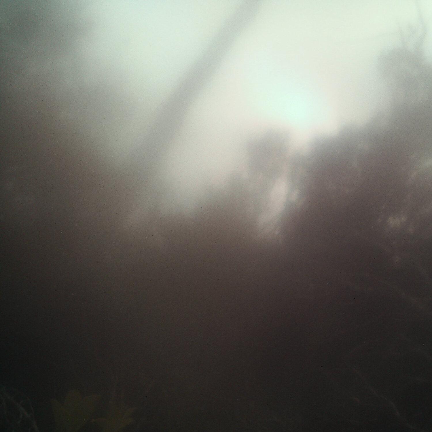 A photo captured from the webcam at the time the audio was recorded