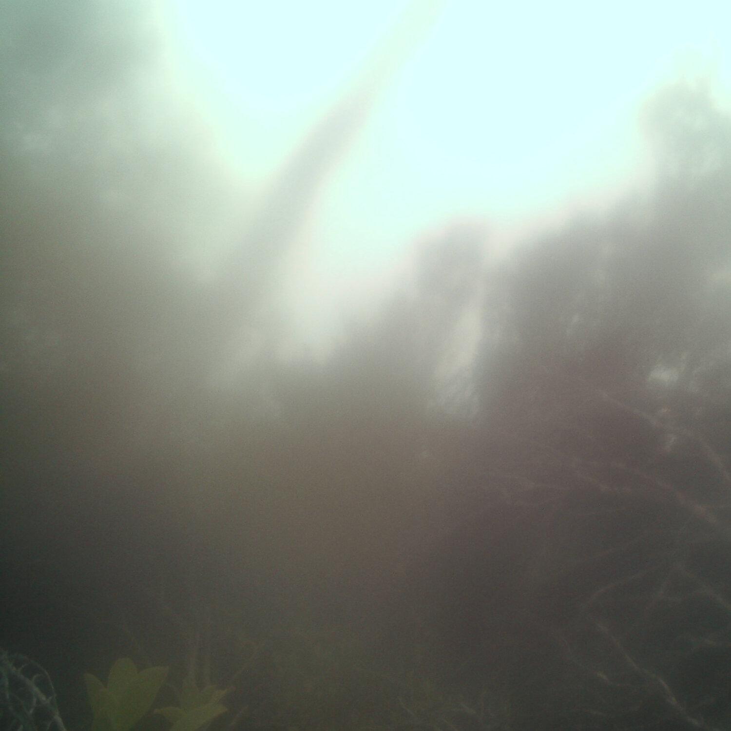 A photo captured from the webcam at the time the audio was recorded