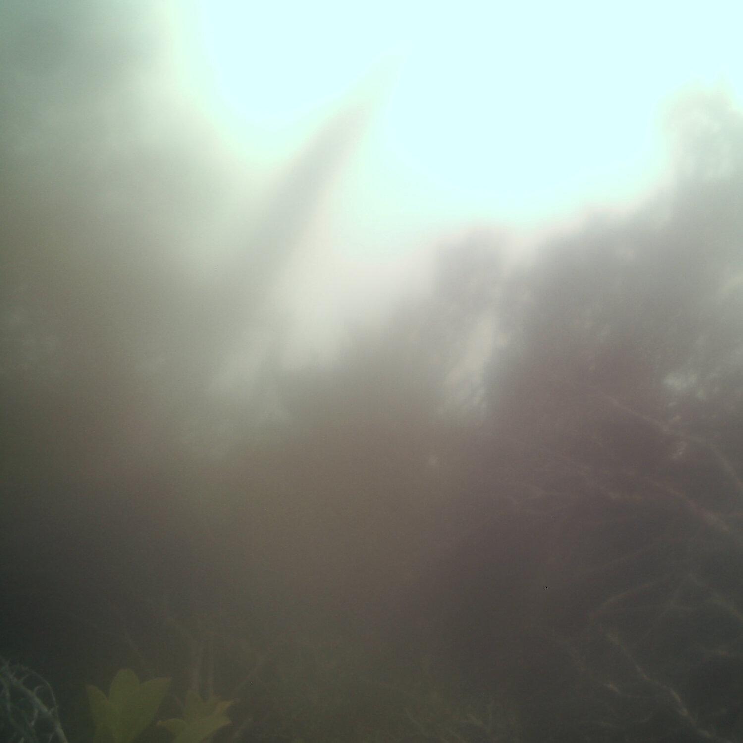 A photo captured from the webcam at the time the audio was recorded
