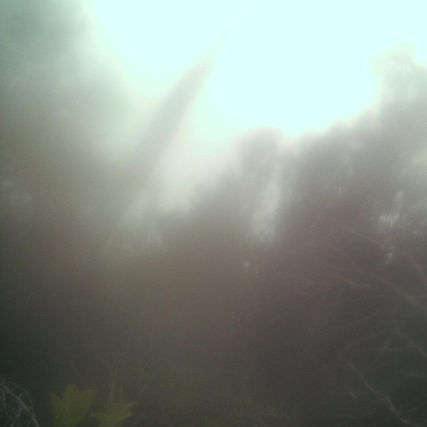 A photo captured from the webcam at the time the audio was recorded