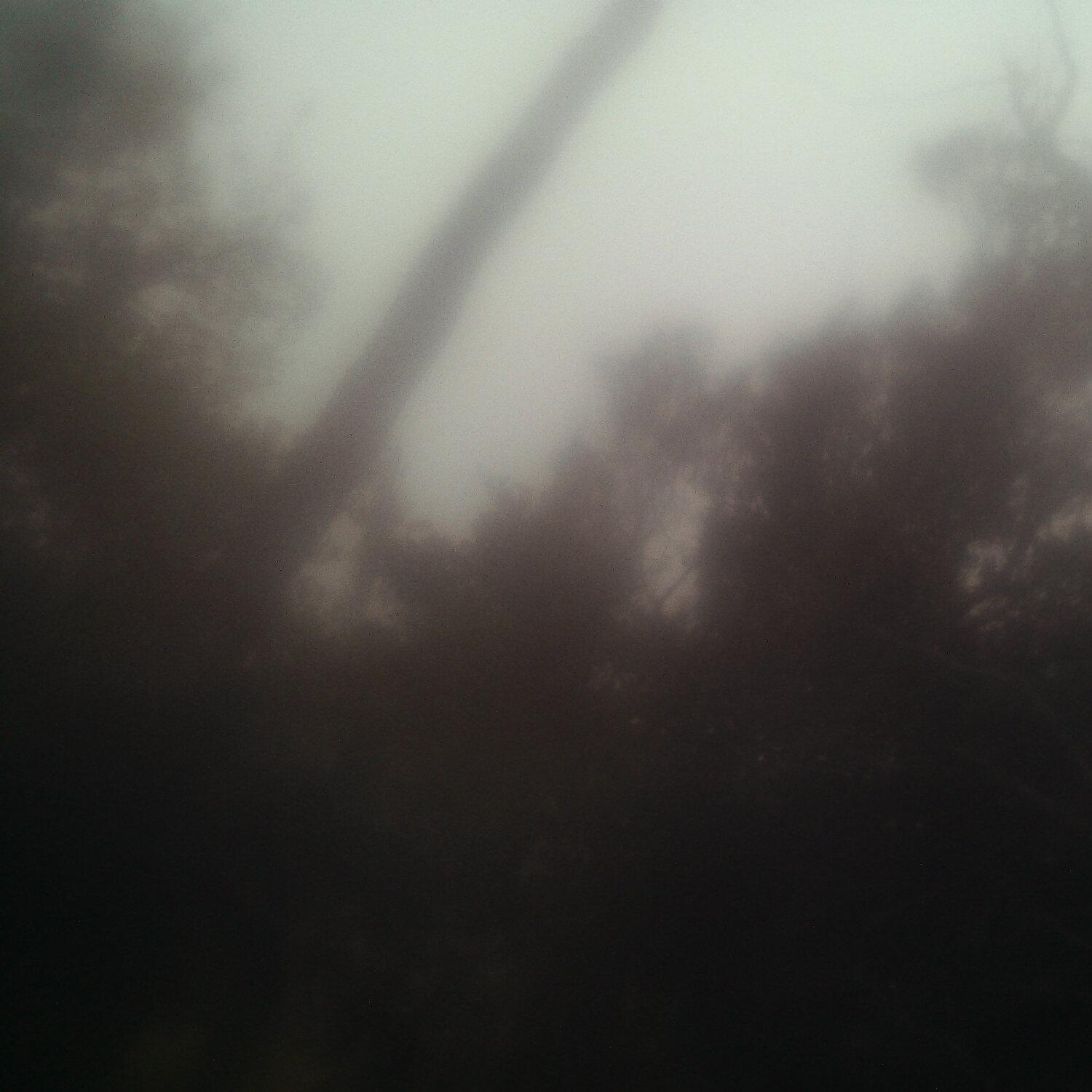 A photo captured from the webcam at the time the audio was recorded