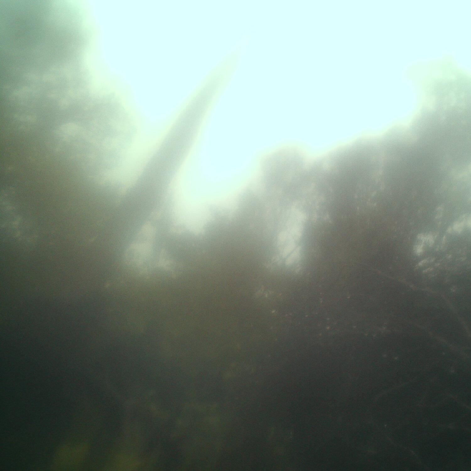 A photo captured from the webcam at the time the audio was recorded