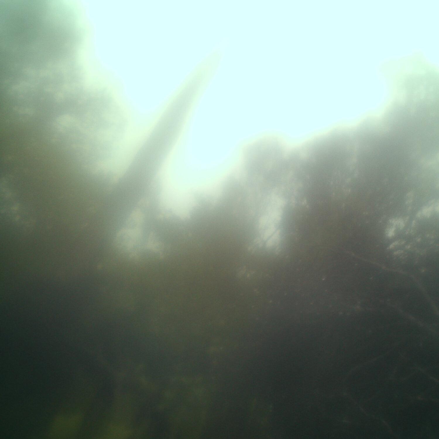 A photo captured from the webcam at the time the audio was recorded