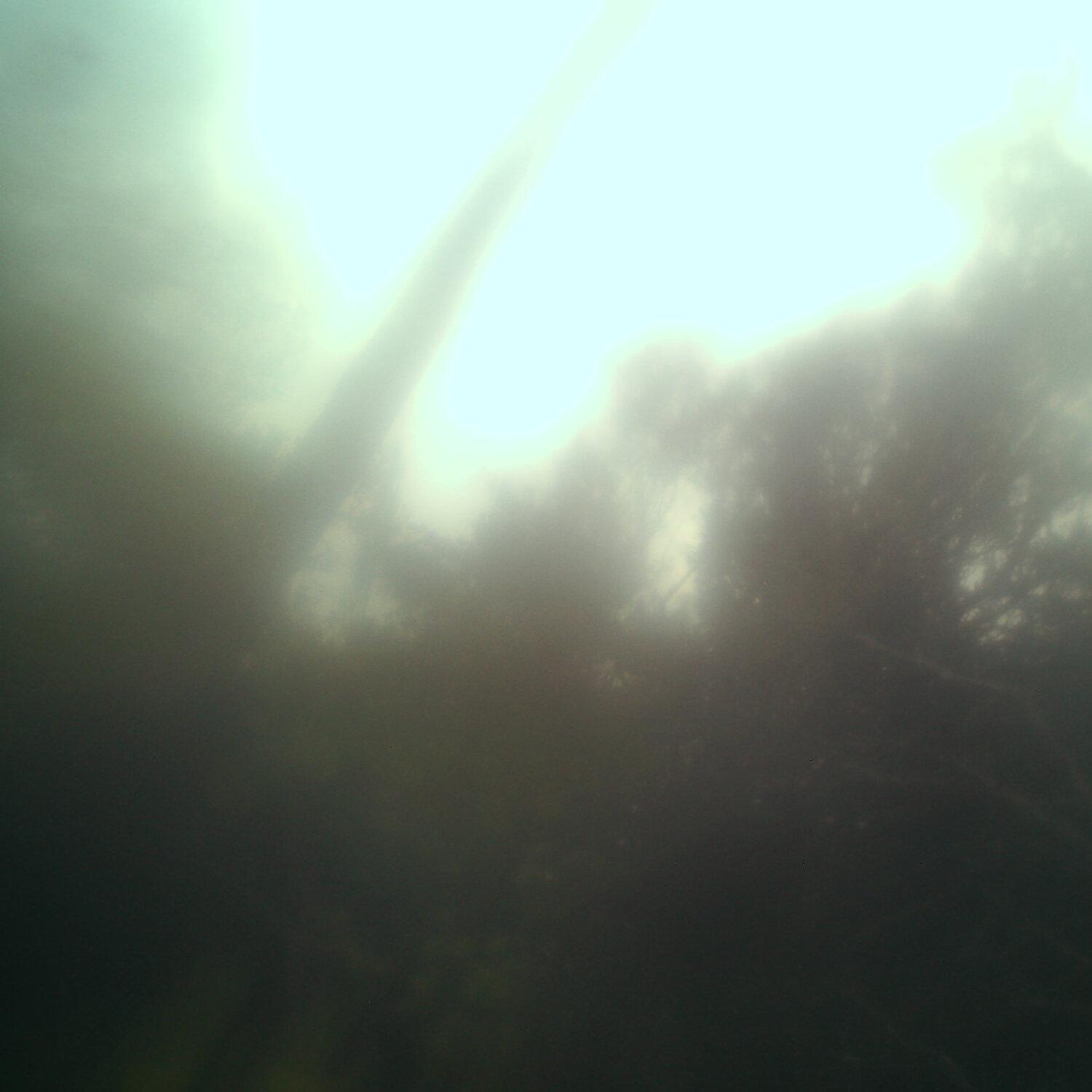 A photo captured from the webcam at the time the audio was recorded