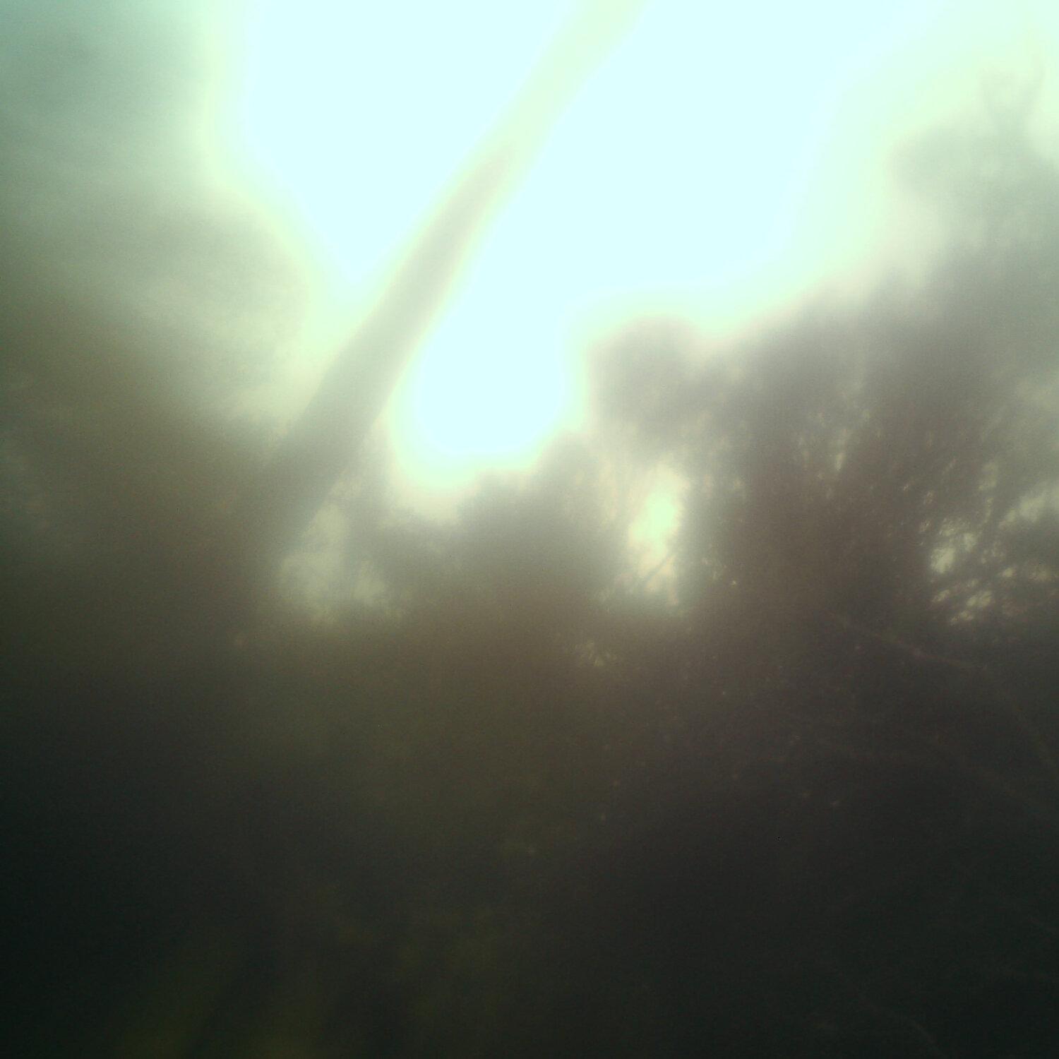 A photo captured from the webcam at the time the audio was recorded