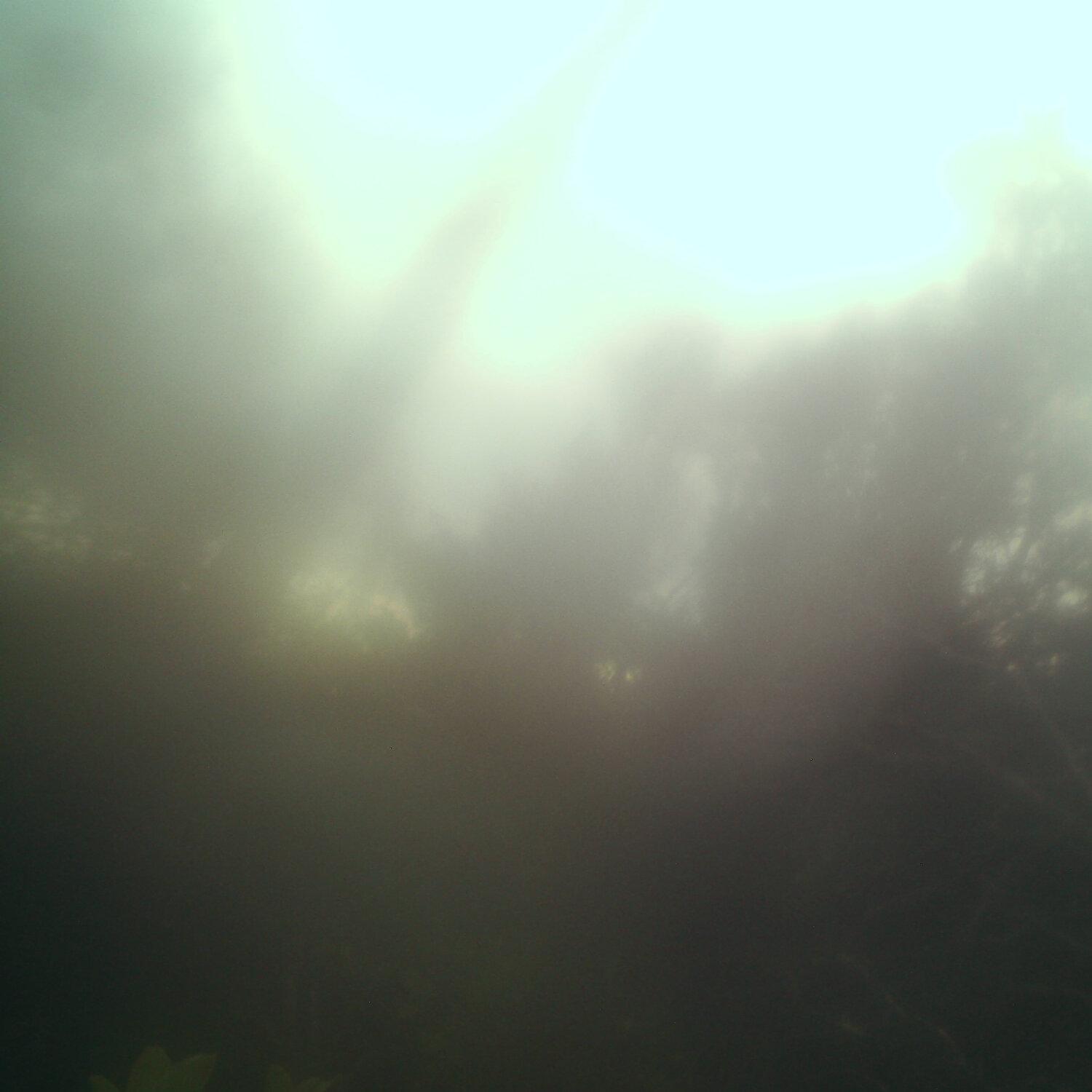 A photo captured from the webcam at the time the audio was recorded