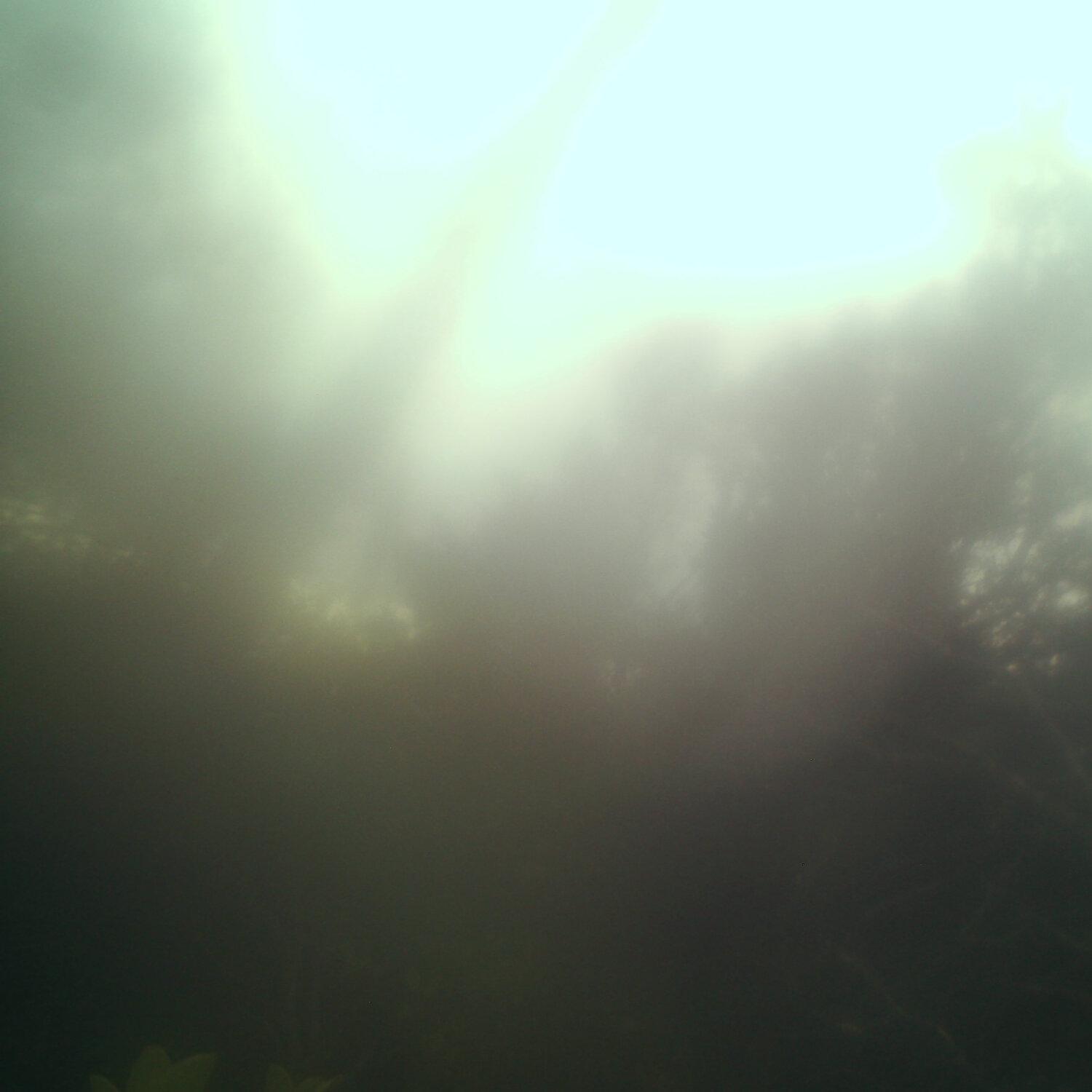 A photo captured from the webcam at the time the audio was recorded