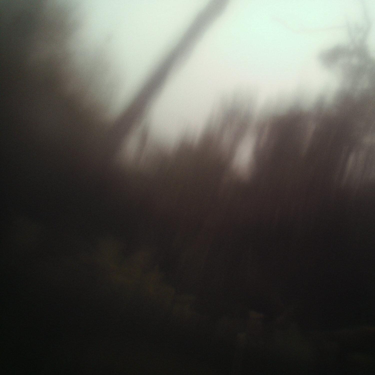 A photo captured from the webcam at the time the audio was recorded