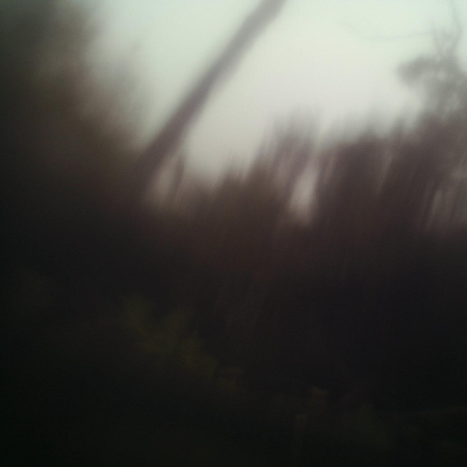 A photo captured from the webcam at the time the audio was recorded