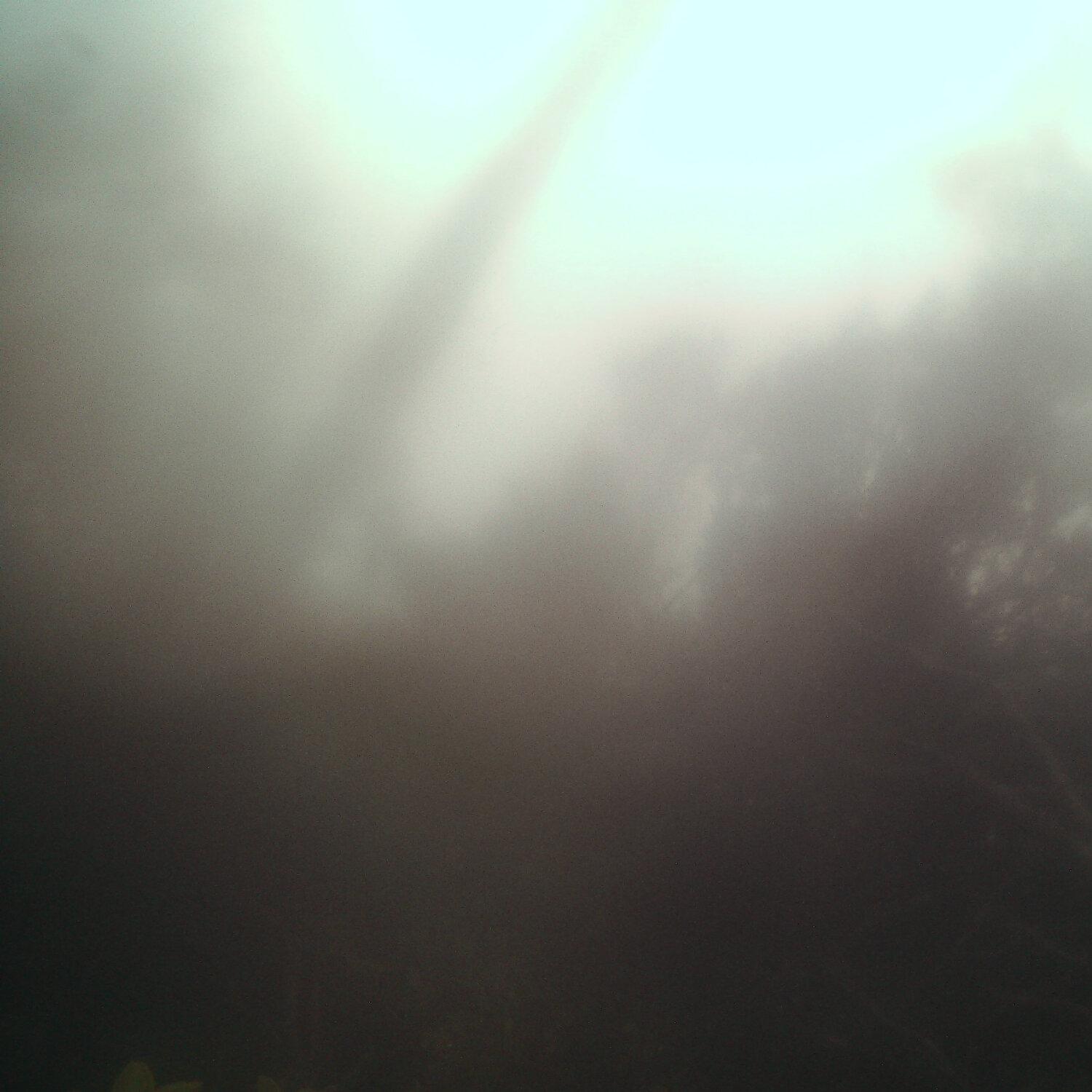 A photo captured from the webcam at the time the audio was recorded