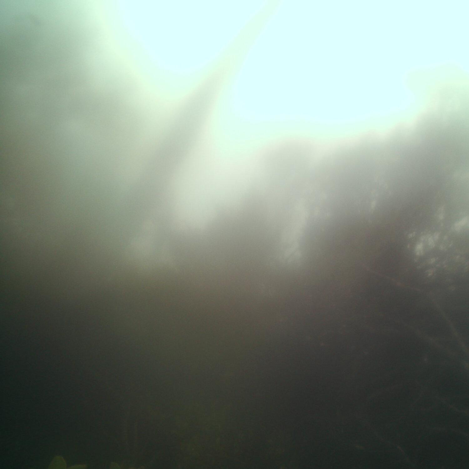 A photo captured from the webcam at the time the audio was recorded