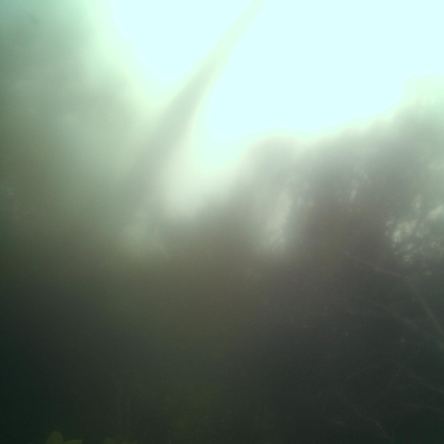 A photo captured from the webcam at the time the audio was recorded