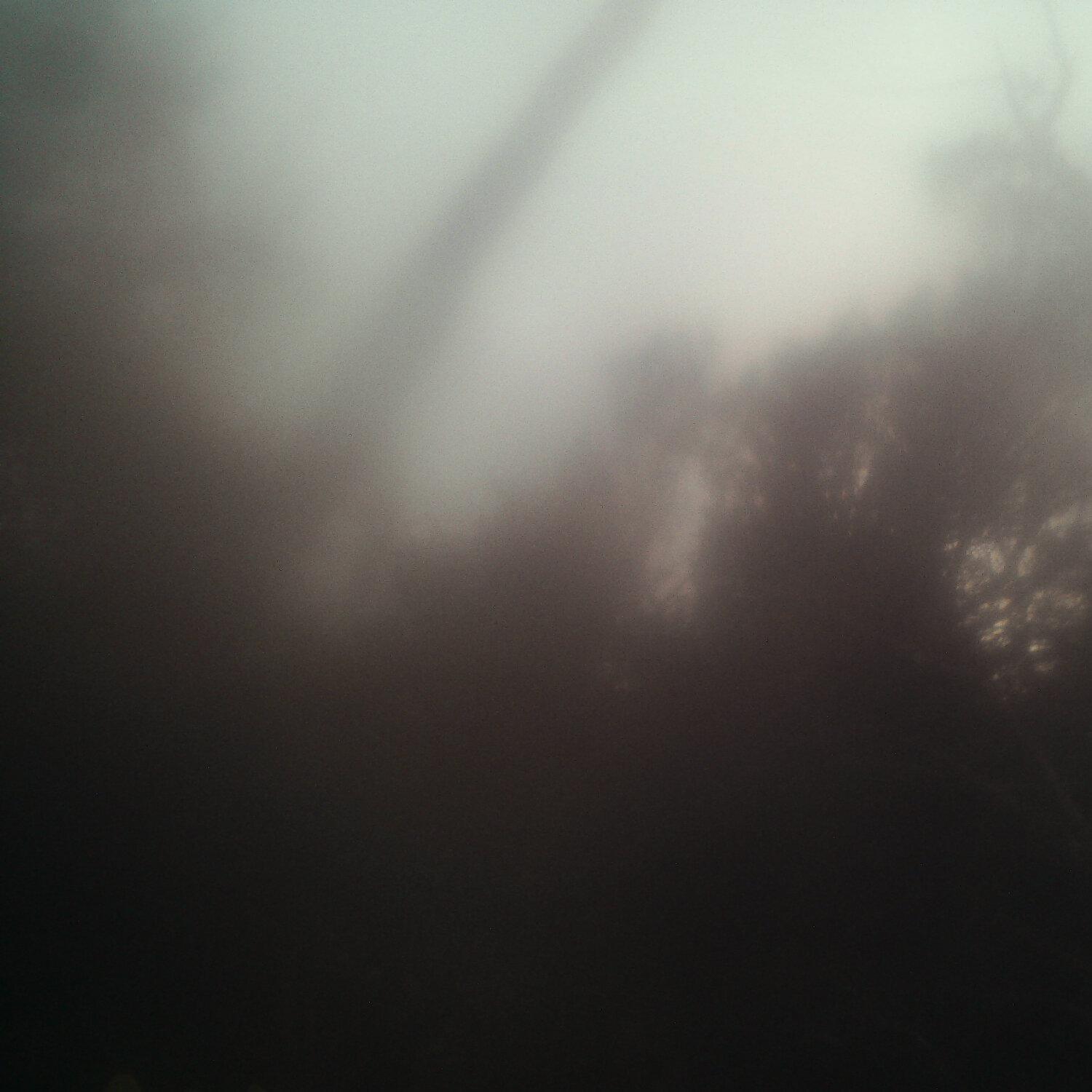 A photo captured from the webcam at the time the audio was recorded