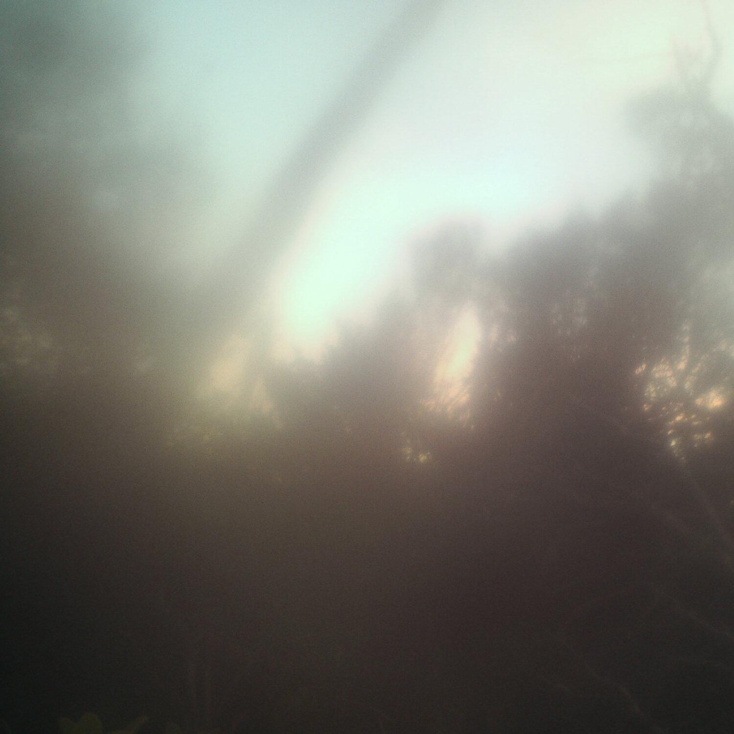 A photo captured from the webcam at the time the audio was recorded