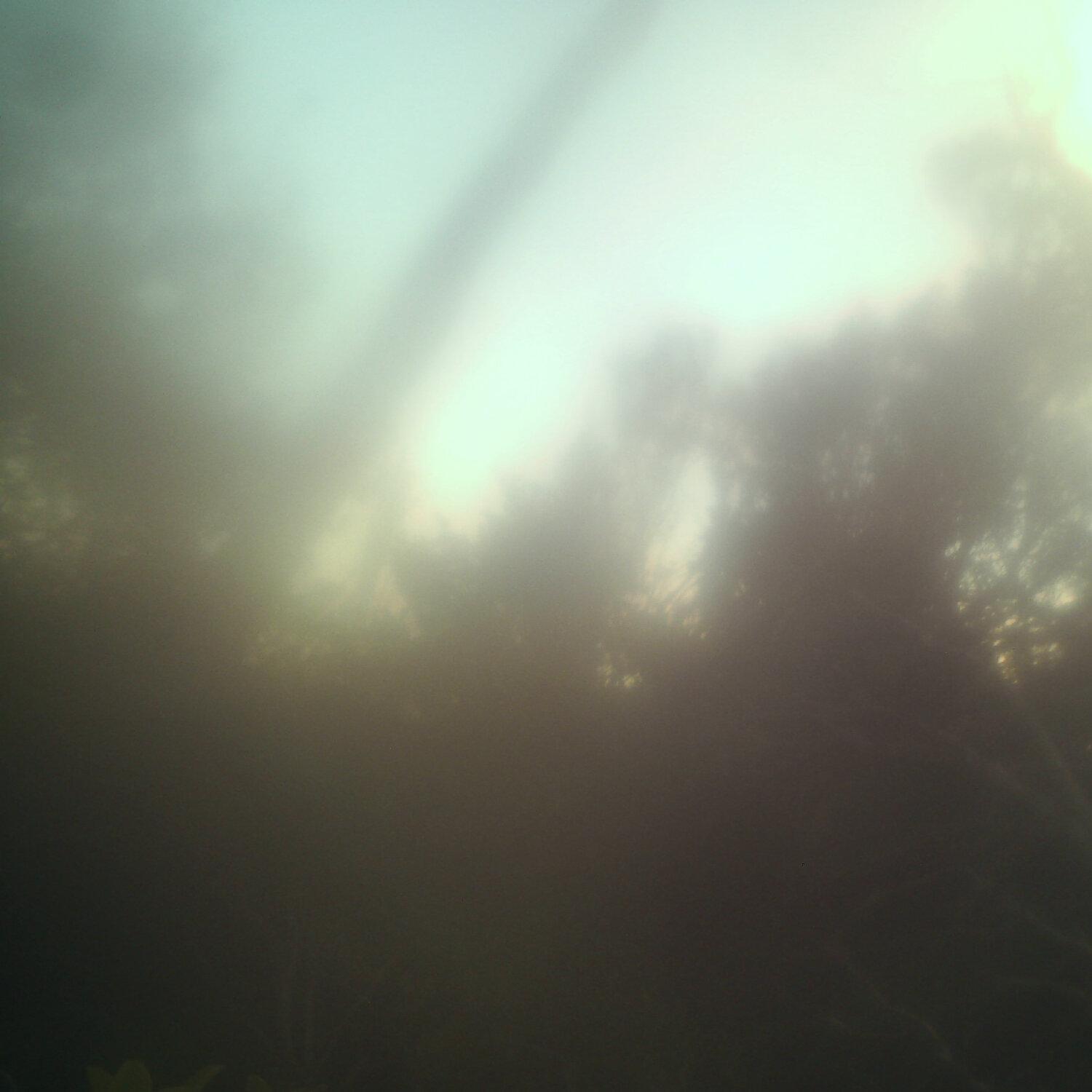 A photo captured from the webcam at the time the audio was recorded