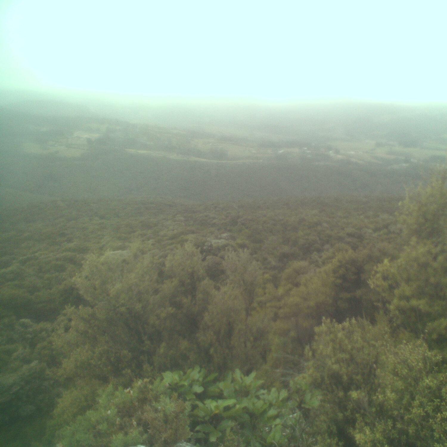 A photo captured from the webcam at the time the audio was recorded