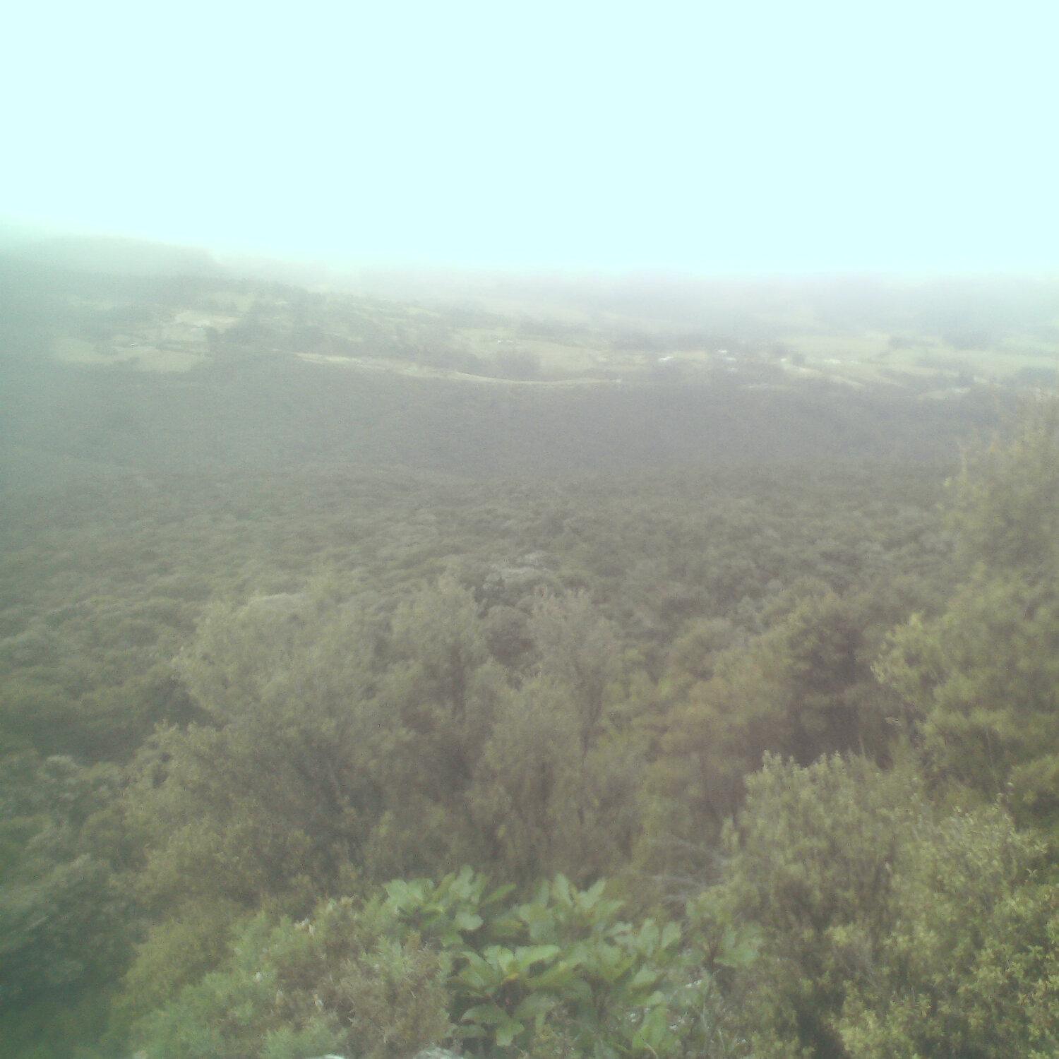 A photo captured from the webcam at the time the audio was recorded