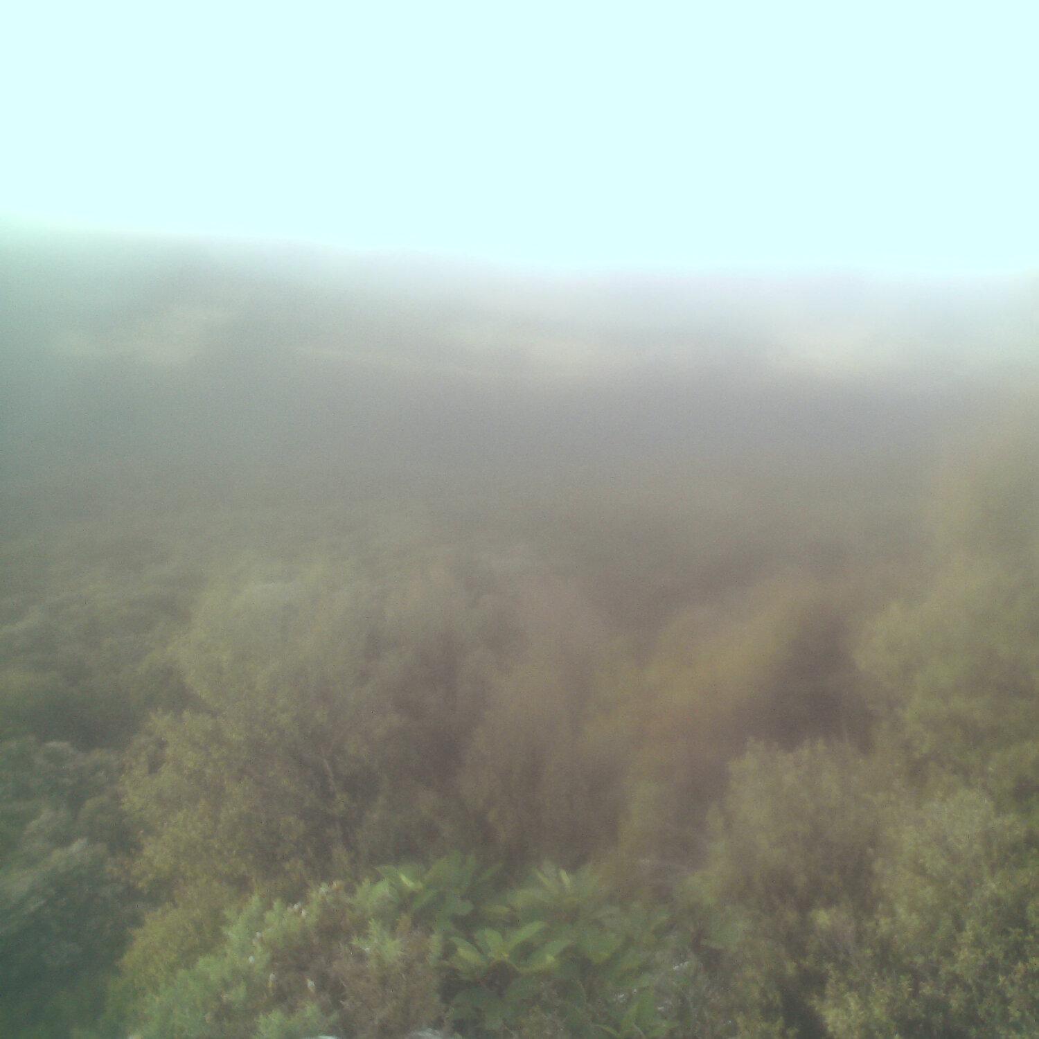 A photo captured from the webcam at the time the audio was recorded