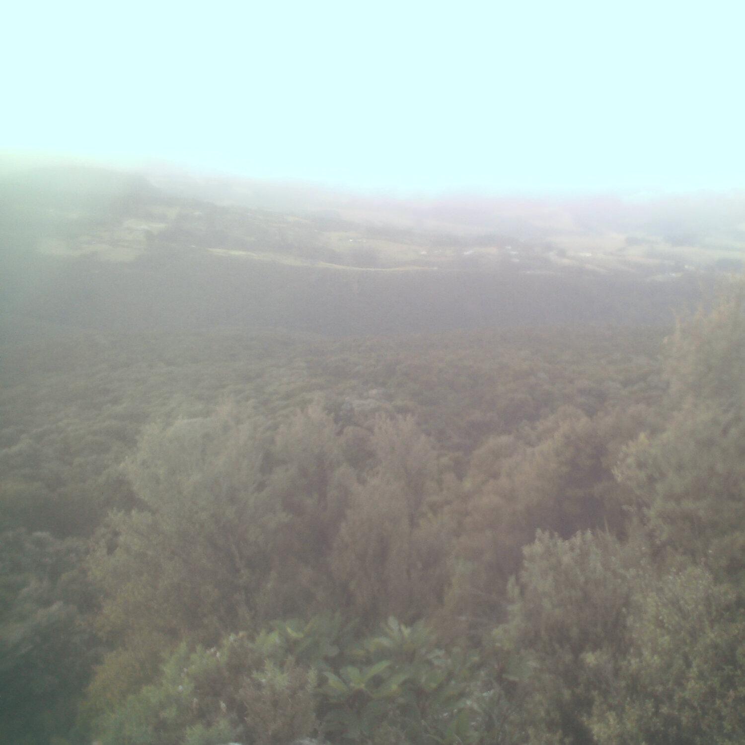 A photo captured from the webcam at the time the audio was recorded