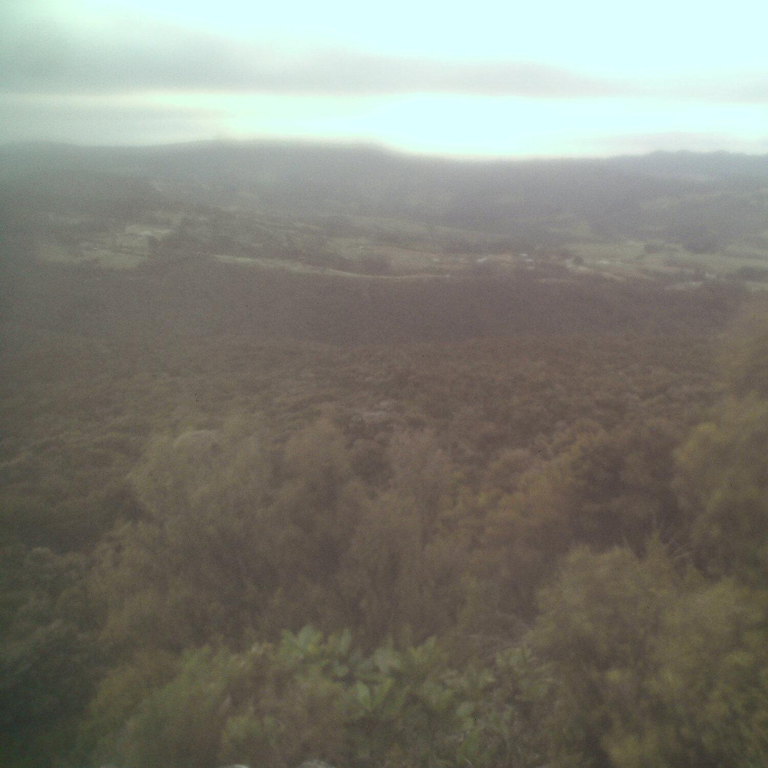 A photo captured from the webcam at the time the audio was recorded