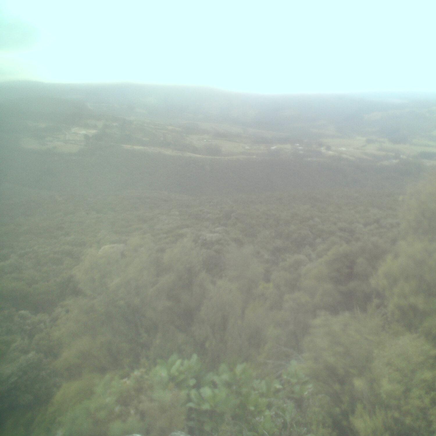 A photo captured from the webcam at the time the audio was recorded