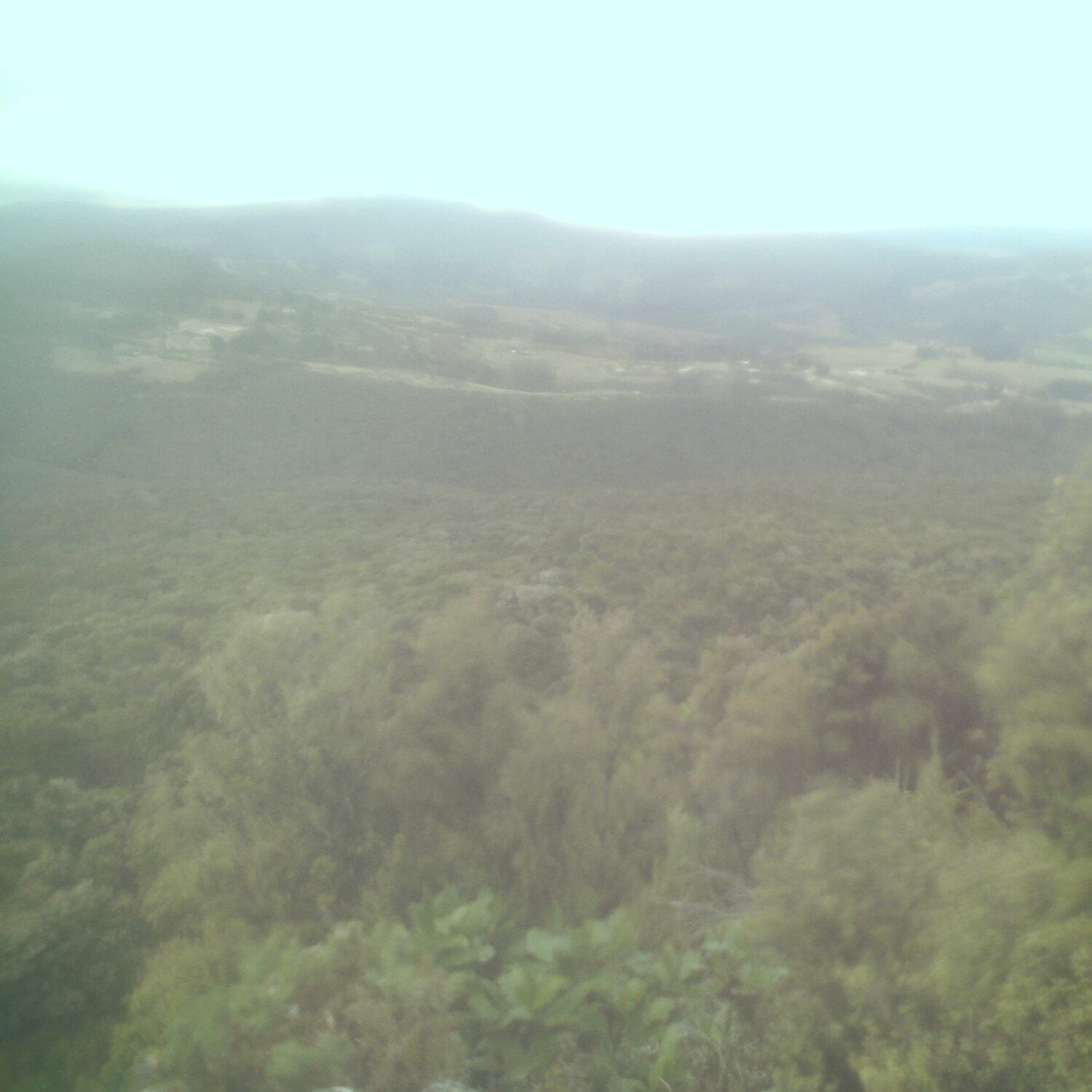 A photo captured from the webcam at the time the audio was recorded