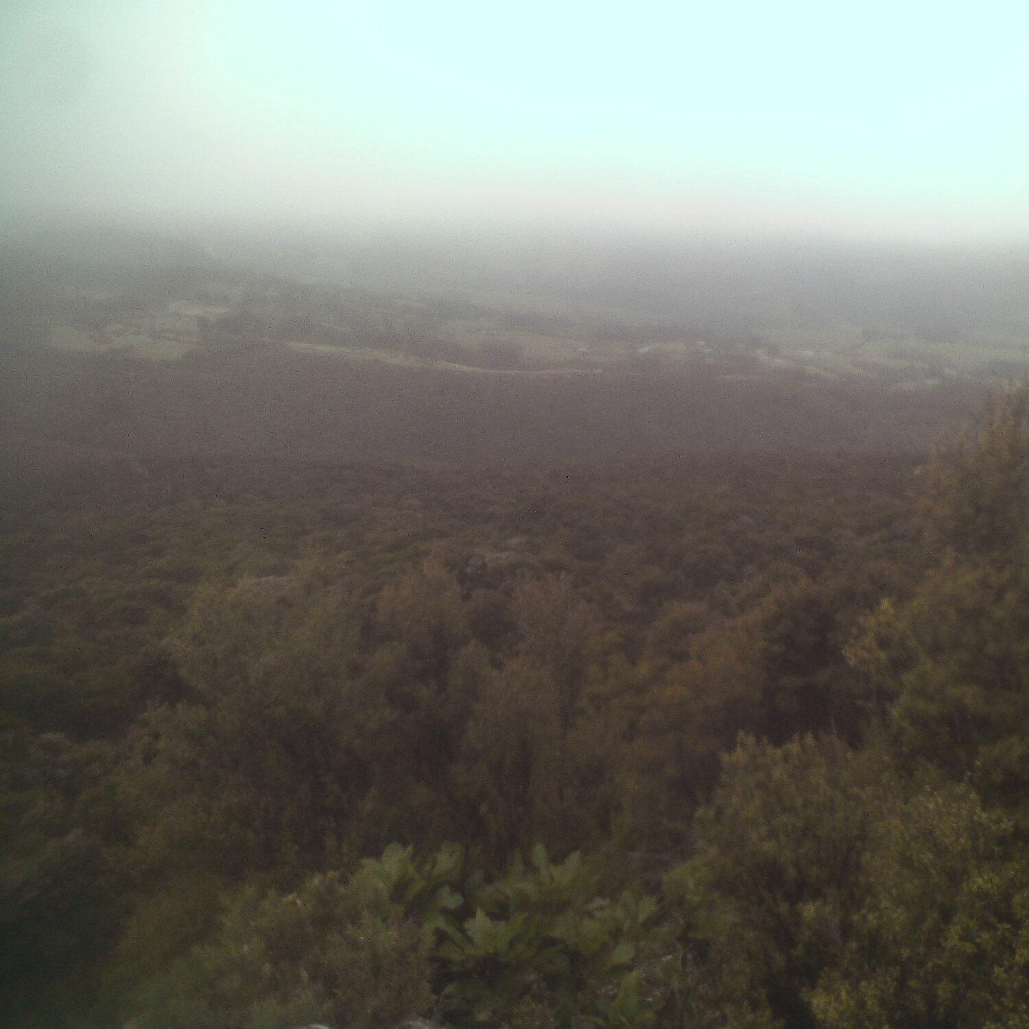 A photo captured from the webcam at the time the audio was recorded