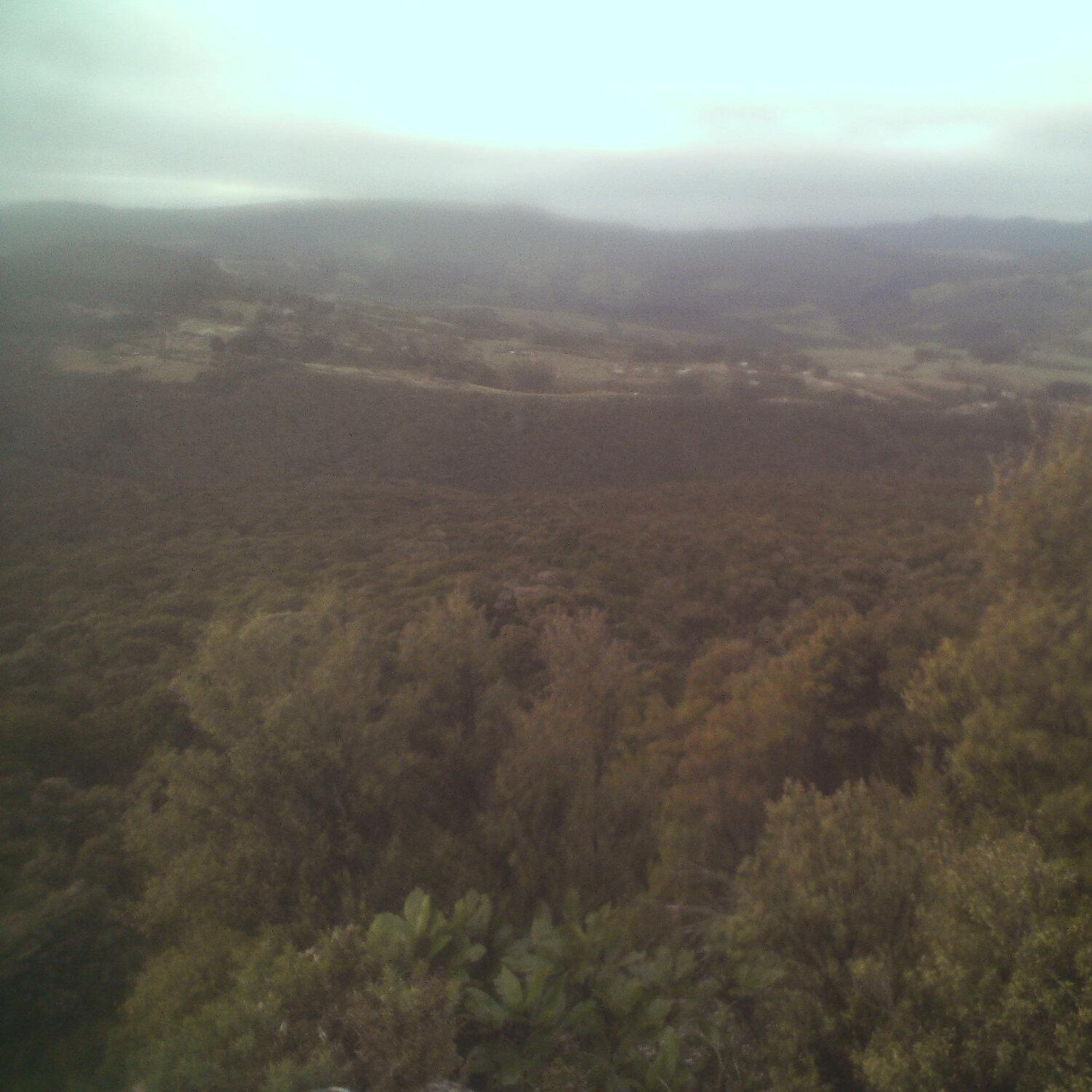A photo captured from the webcam at the time the audio was recorded