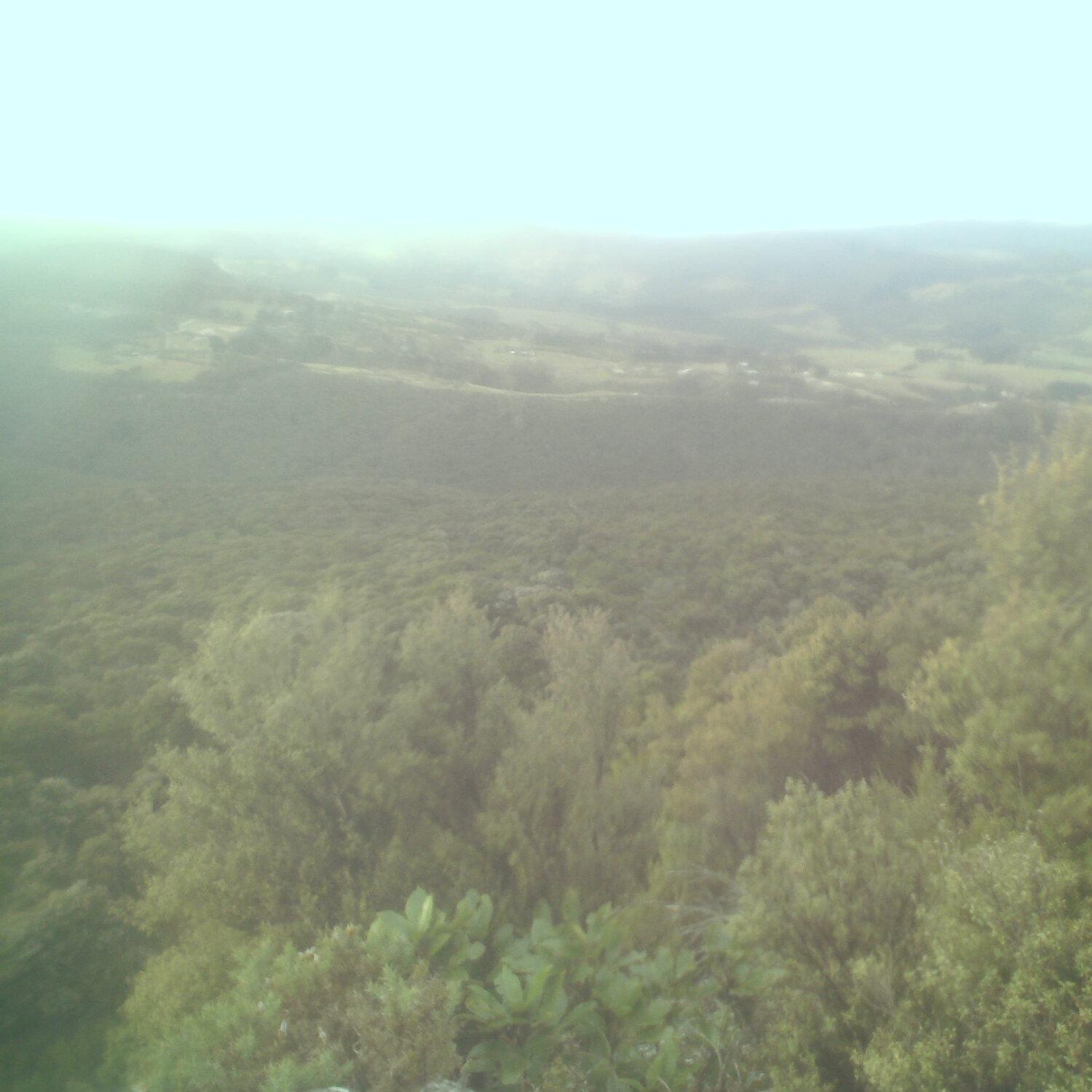 A photo captured from the webcam at the time the audio was recorded