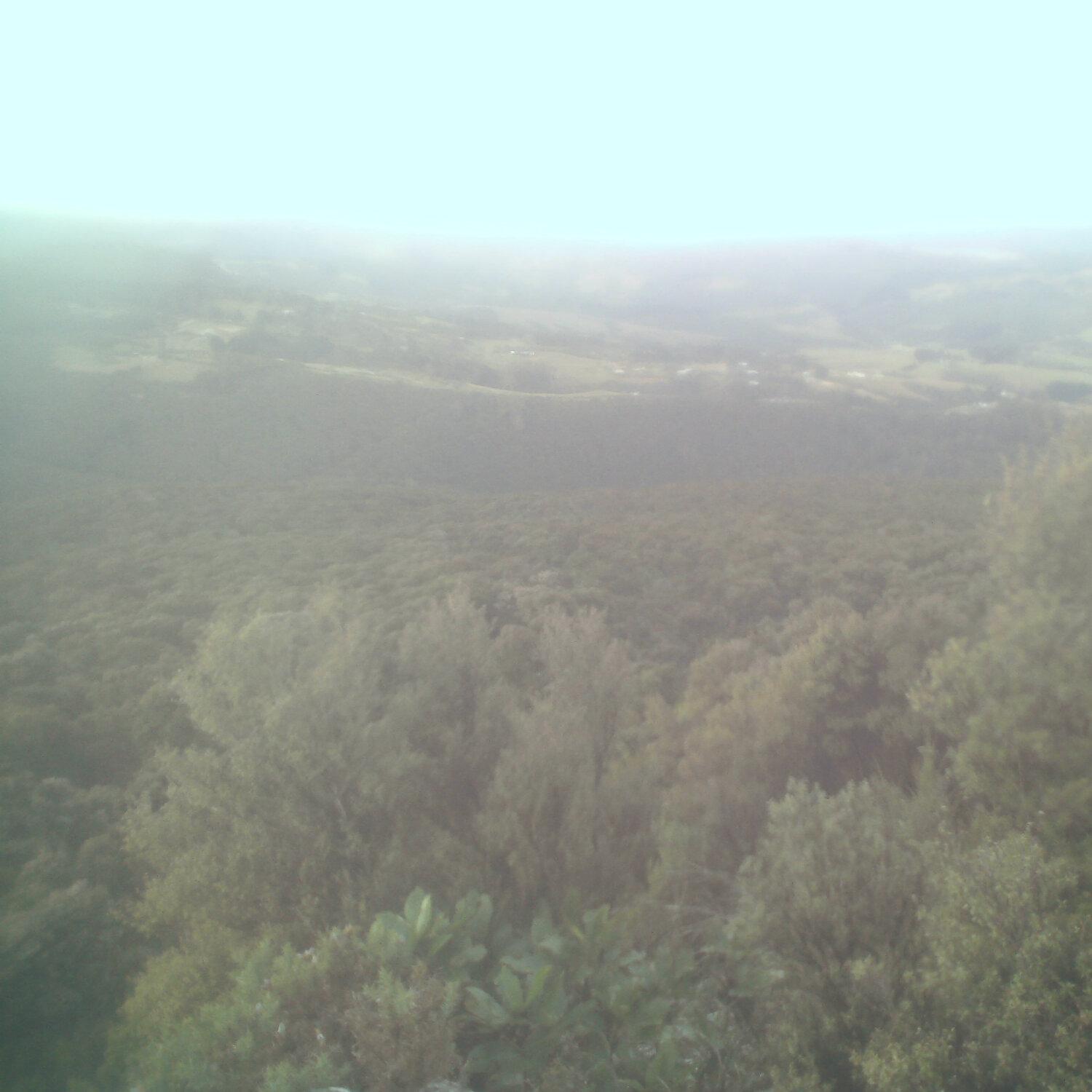 A photo captured from the webcam at the time the audio was recorded