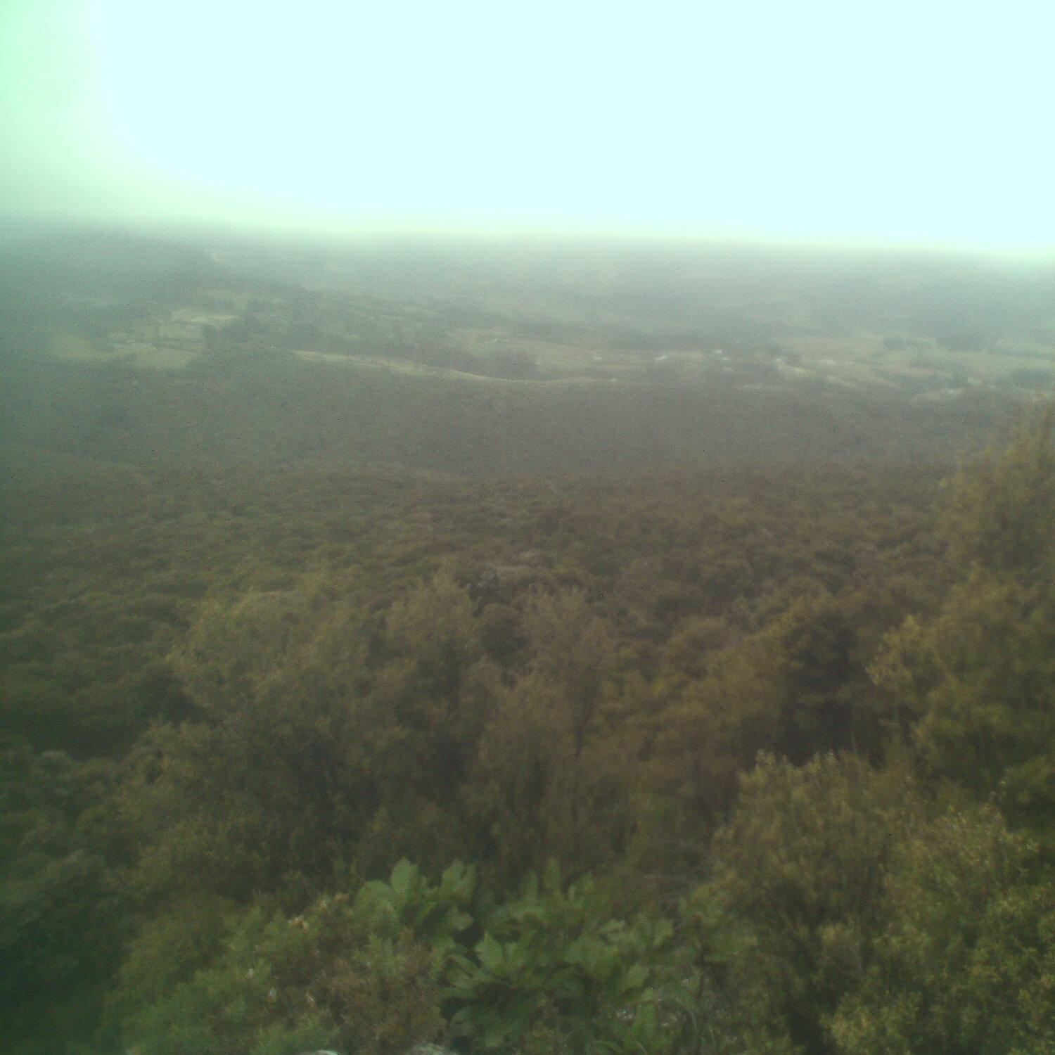 A photo captured from the webcam at the time the audio was recorded