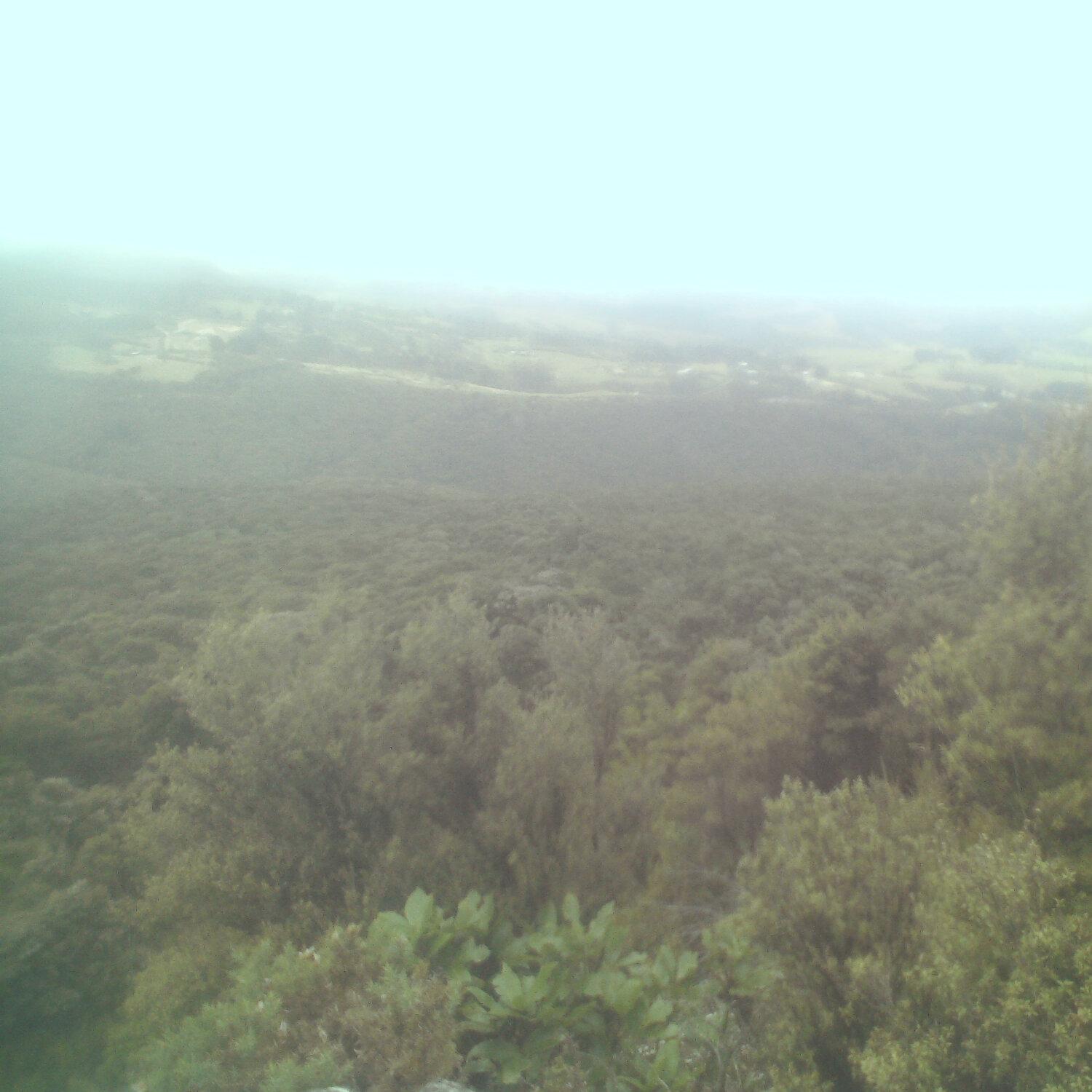 A photo captured from the webcam at the time the audio was recorded