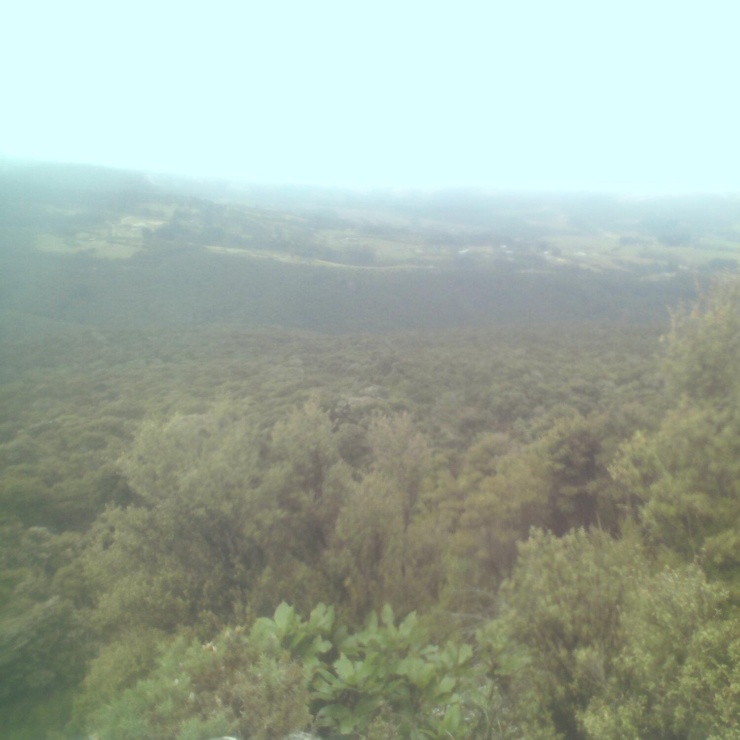 A photo captured from the webcam at the time the audio was recorded
