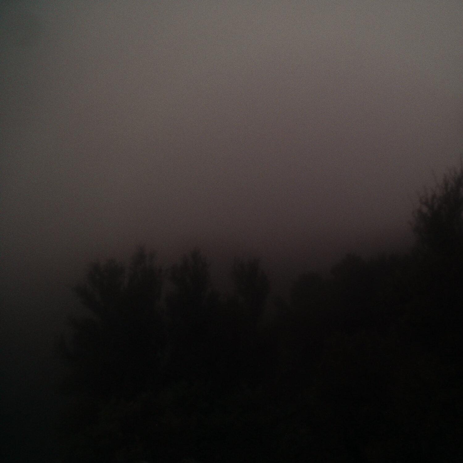 A photo captured from the webcam at the time the audio was recorded